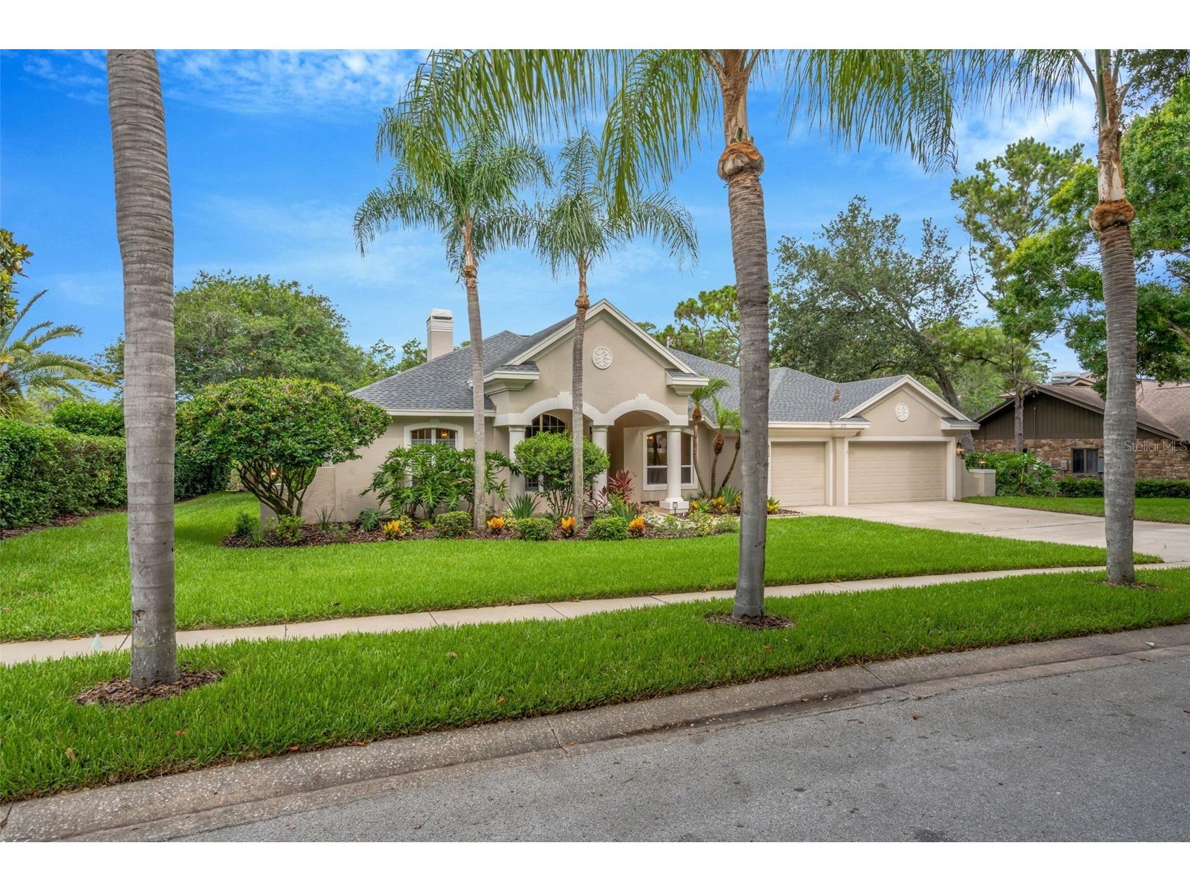 3110 Harvest Moon Drive Palm Harbor FL 34683 TB8518414 image1
