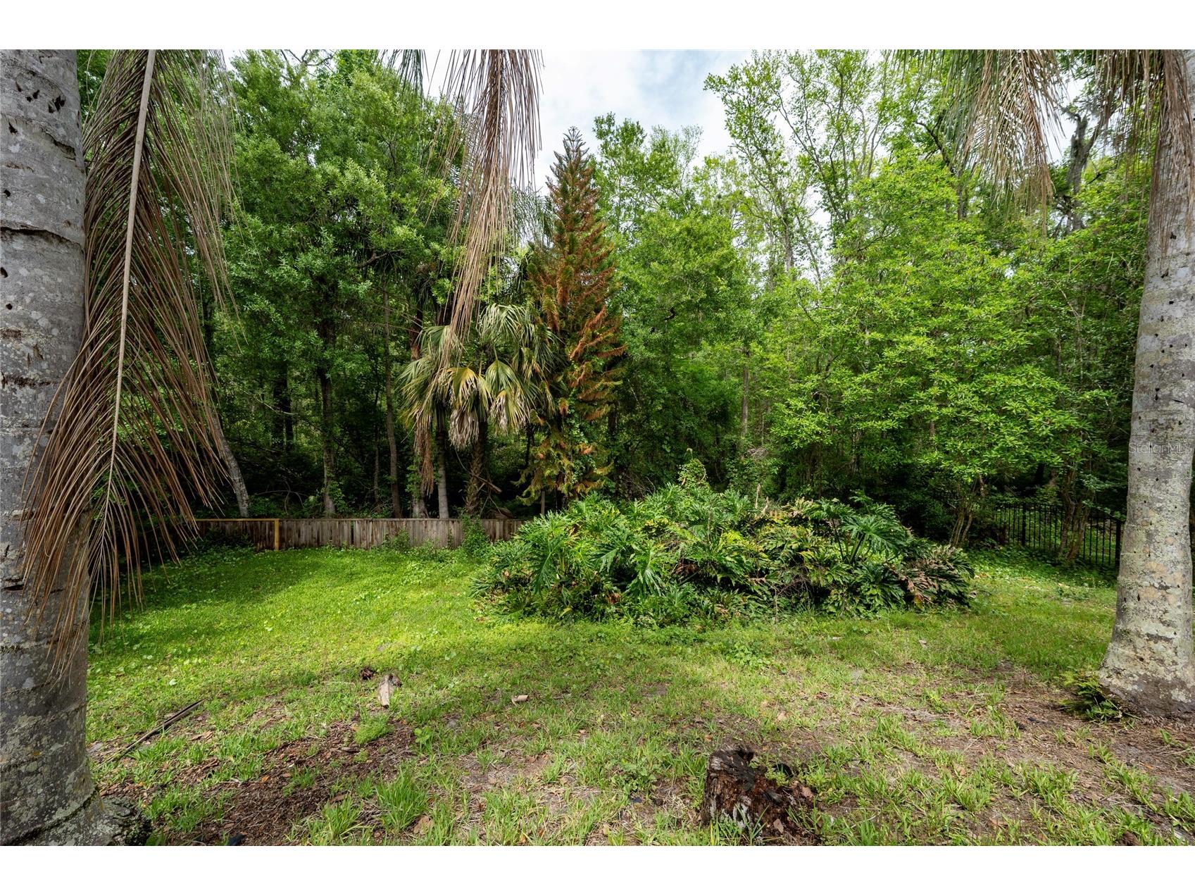3110 Heartleaf Place Winter Park FL 32792 O6397396 image39