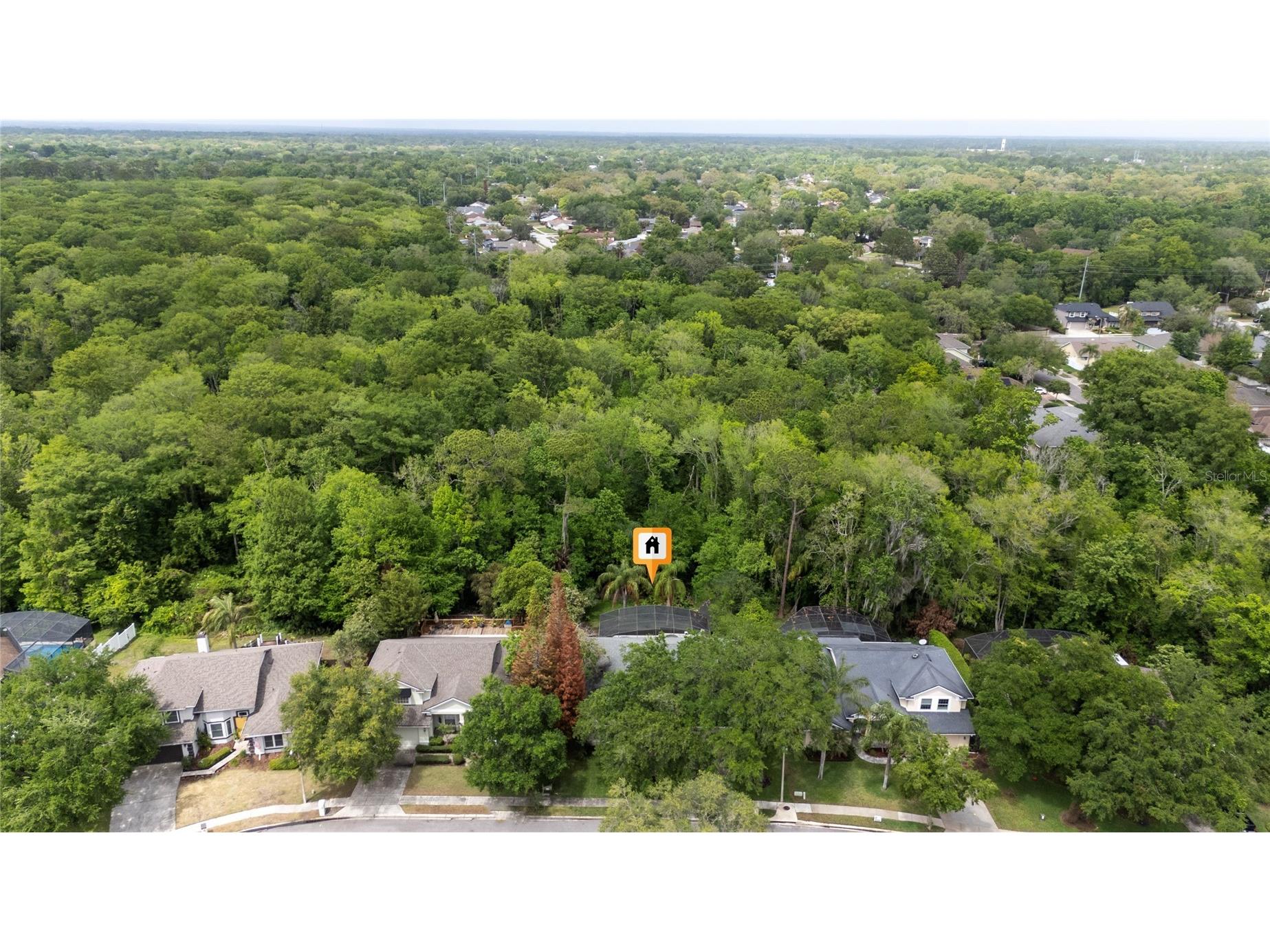 3110 Heartleaf Place Winter Park FL 32792 O6397396 image42