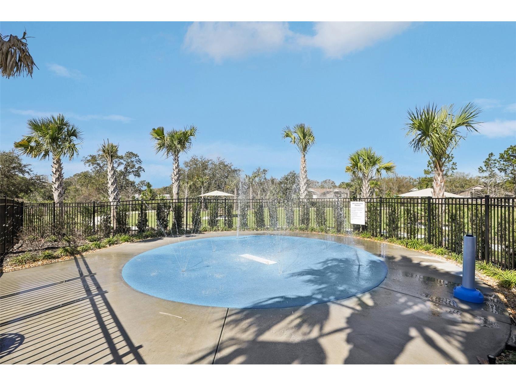 3110 Sanctuary Drive Clermont FL 34714 O6382004 image36