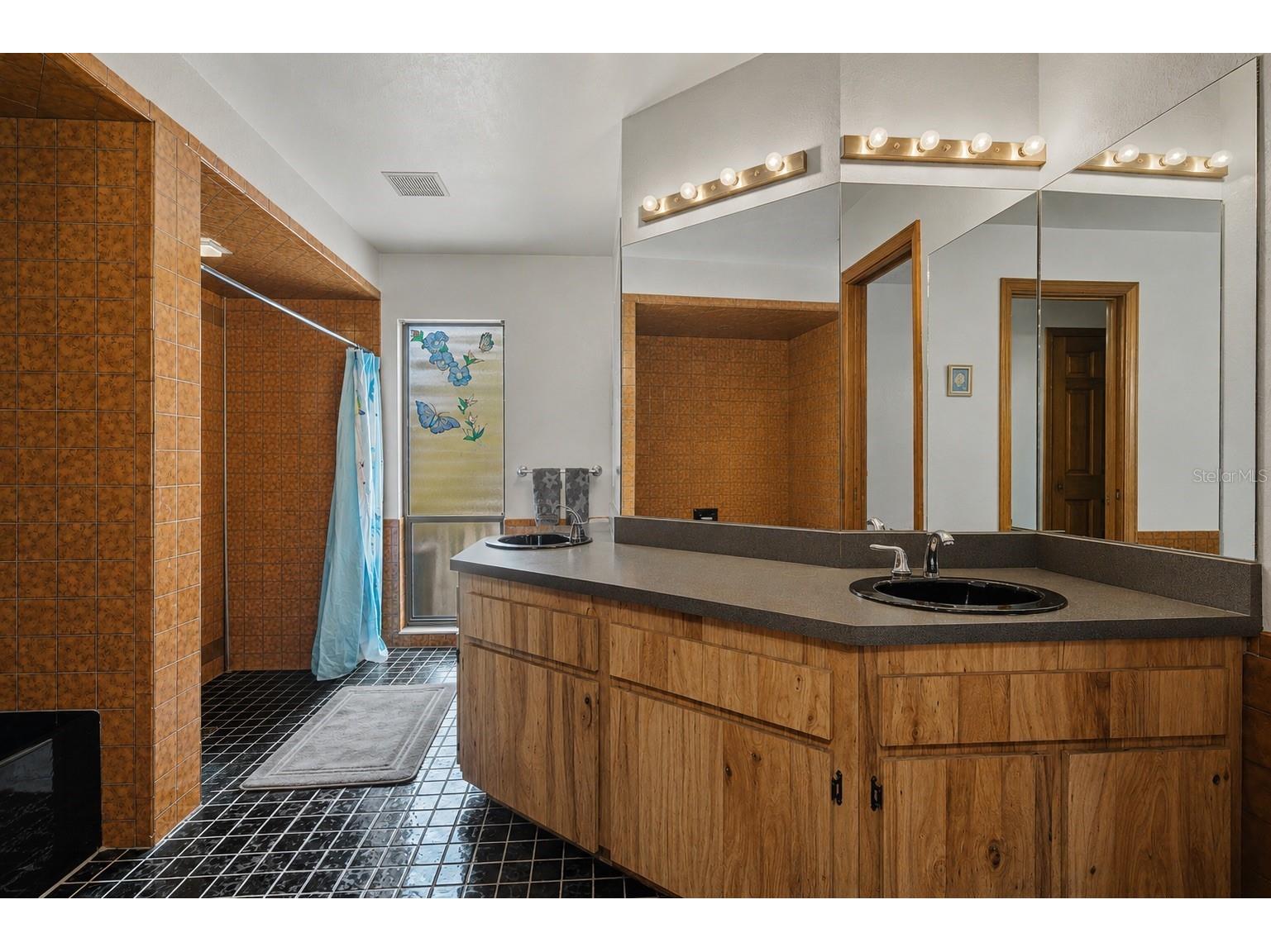 3110 Shadow Oaks Drive Holiday FL 34690 TB8513609 image14