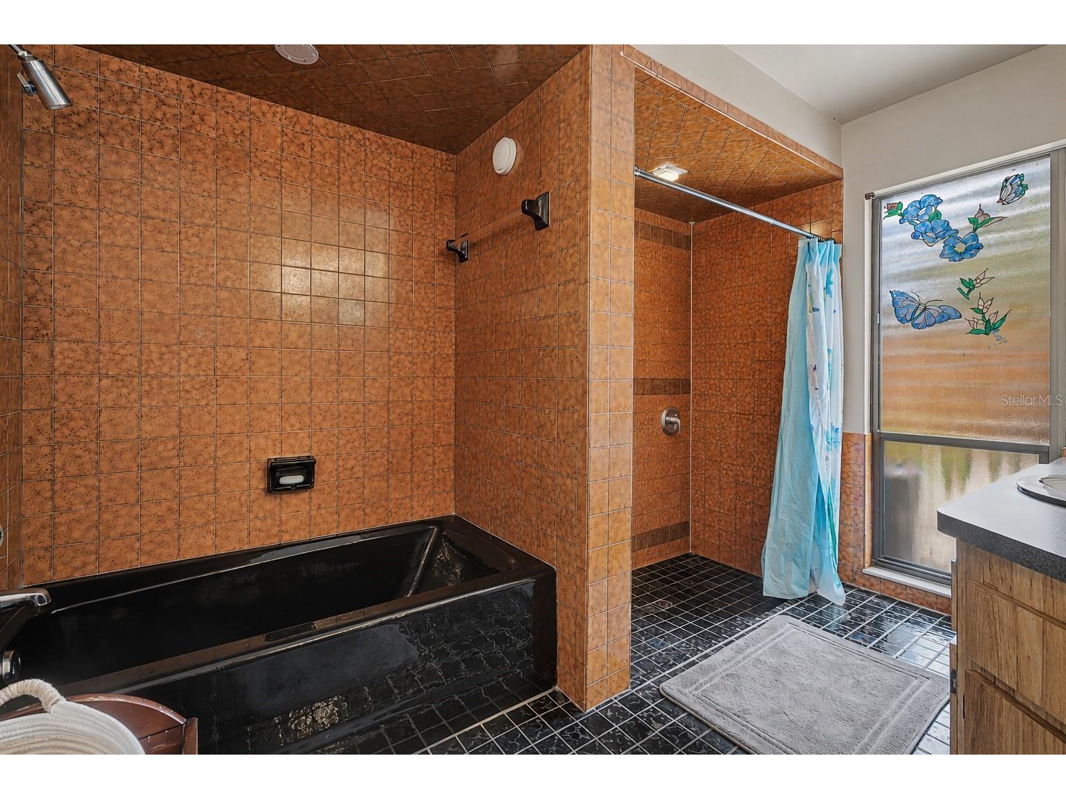 3110 Shadow Oaks Drive Holiday FL 34690 TB8513609 image15