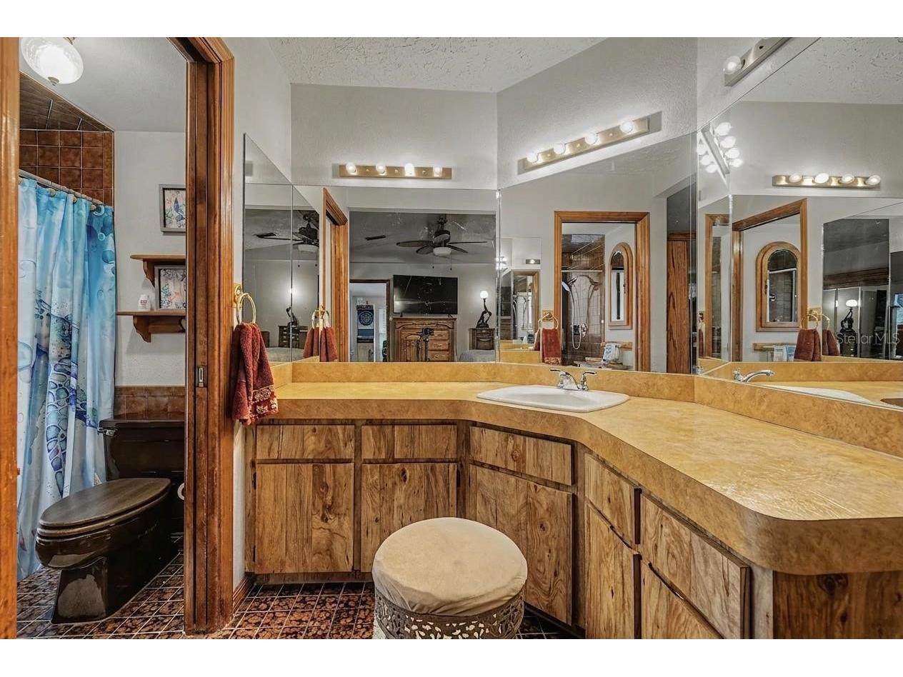 3110 Shadow Oaks Drive Holiday FL 34690 TB8513609 image18
