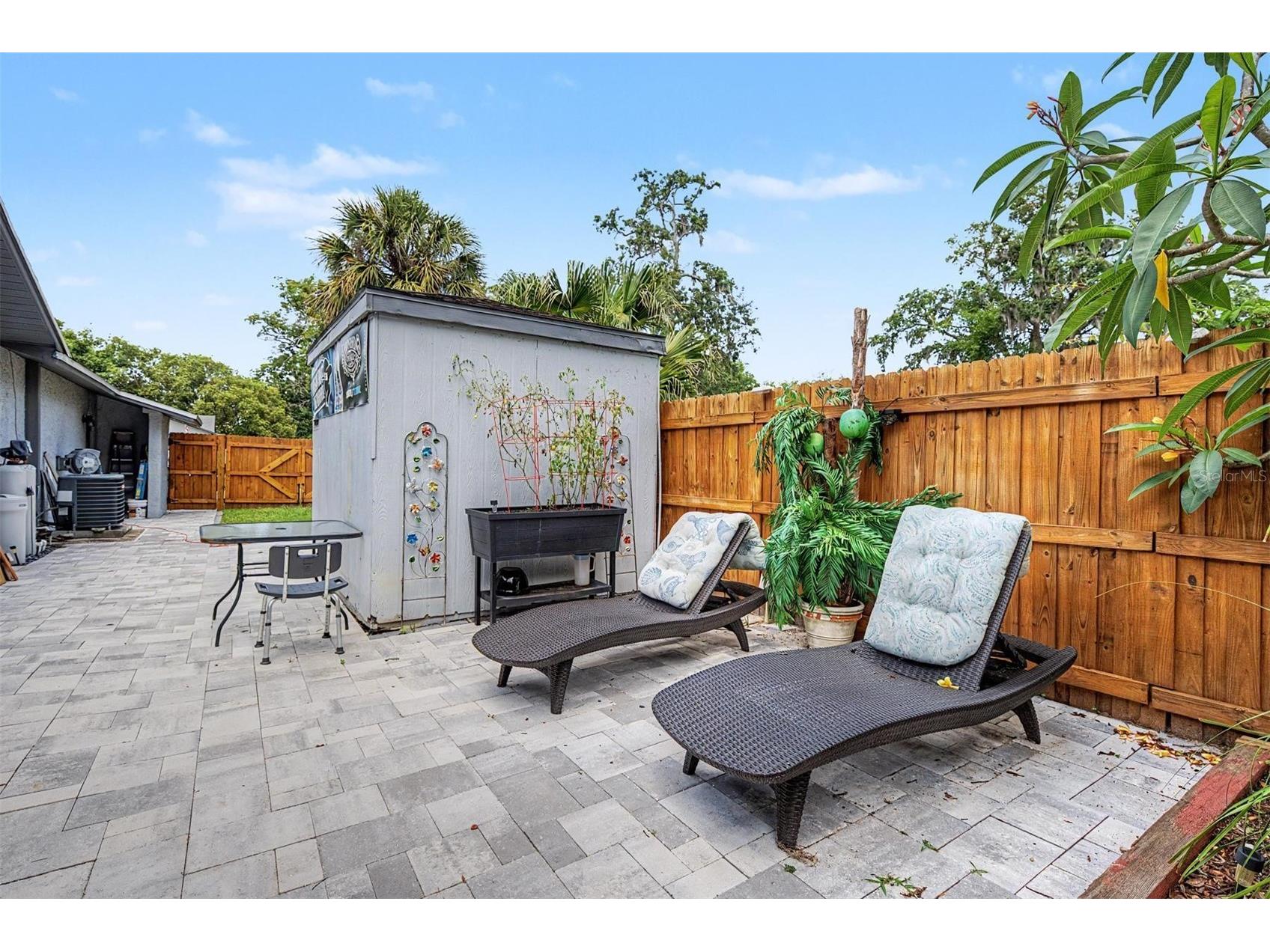 3110 Shadow Oaks Drive Holiday FL 34690 TB8513609 image22