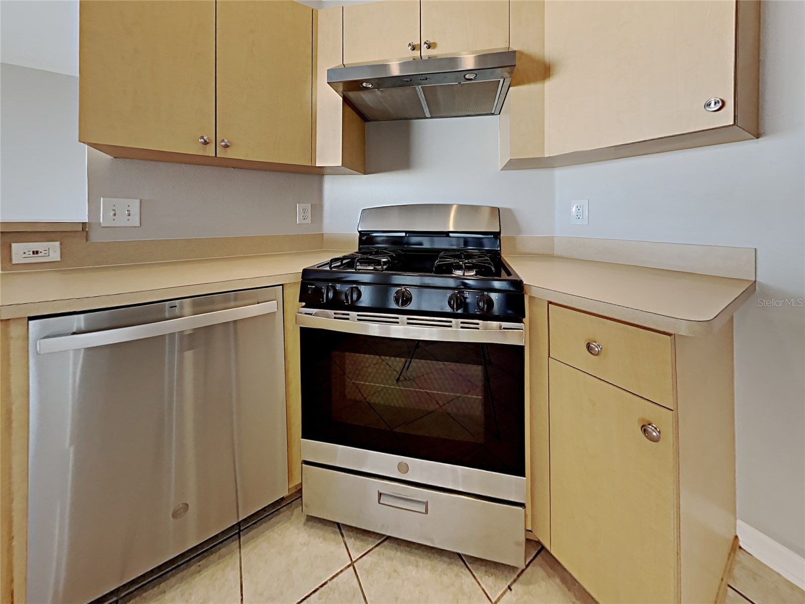 3110 Summer Cruise Drive Valrico FL 33594 C7526262 image9