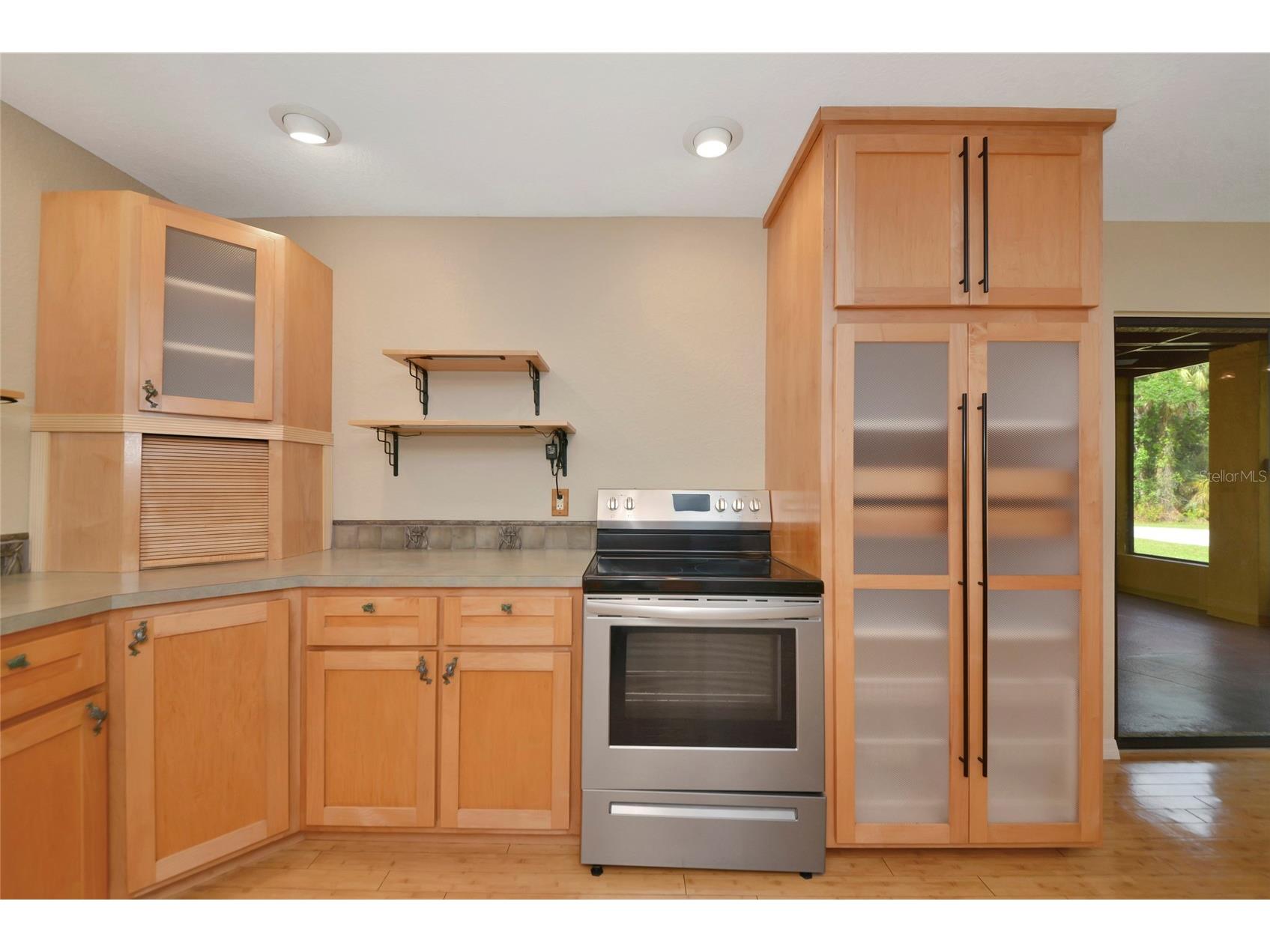 3110 Turkey Walk Lane Wimauma FL 33598 A4688100 image13