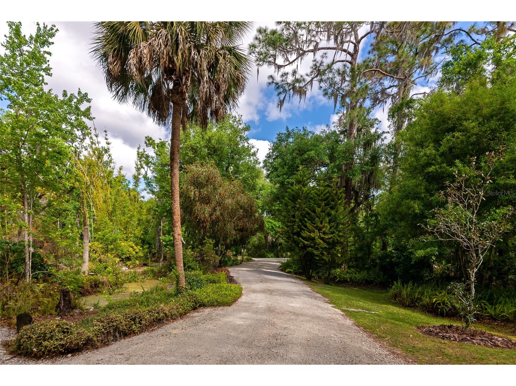 3110 Turkey Walk Lane Wimauma FL 33598 A4688100 image53