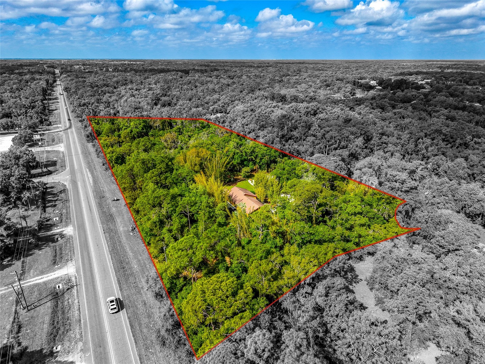 3110 Turkey Walk Lane Wimauma FL 33598 A4688100 image7