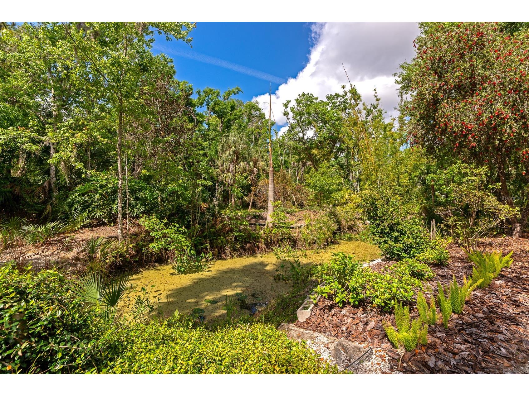 3110 Turkey Walk Lane Wimauma FL 33598 A4688100 image73