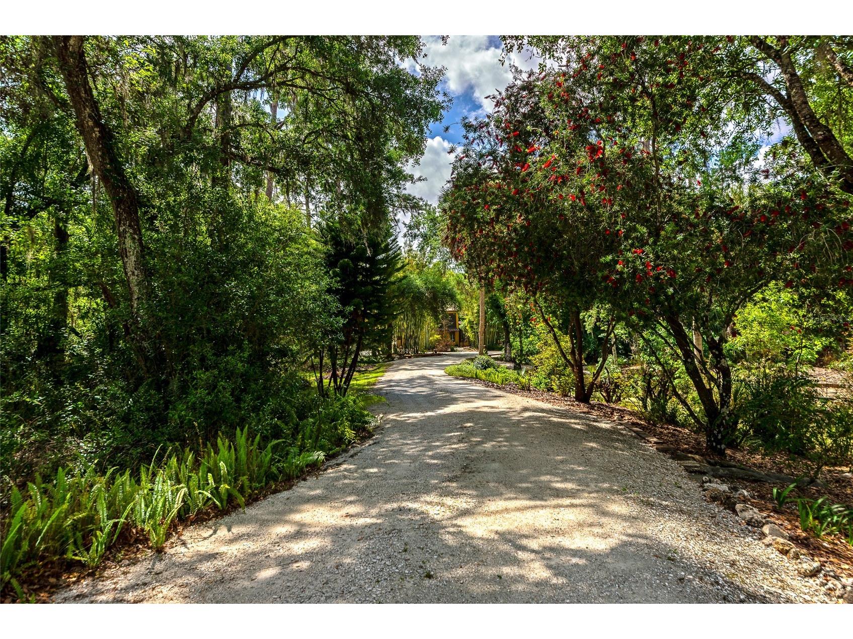 3110 Turkey Walk Lane Wimauma FL 33598 A4688100 image75