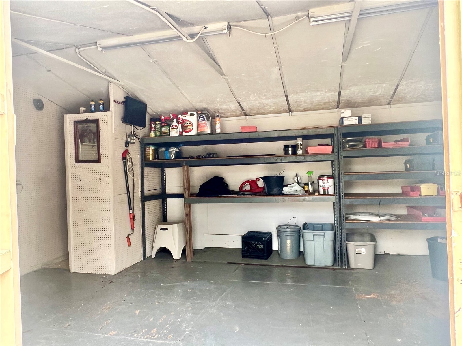 3110 W Ivy Street Tampa FL 33607 TB8504459 image26