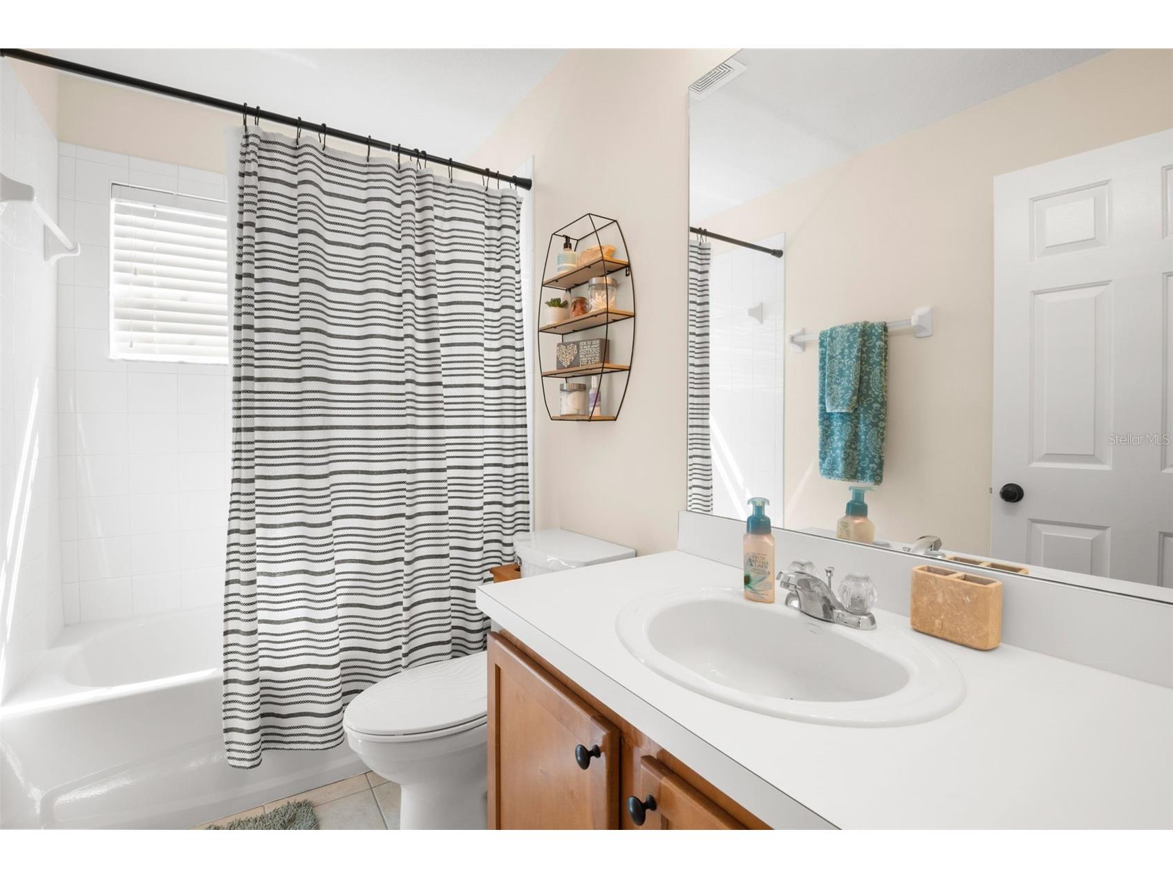 31103 Bridgegate Drive Wesley Chapel FL 33545 TB8484922 image37