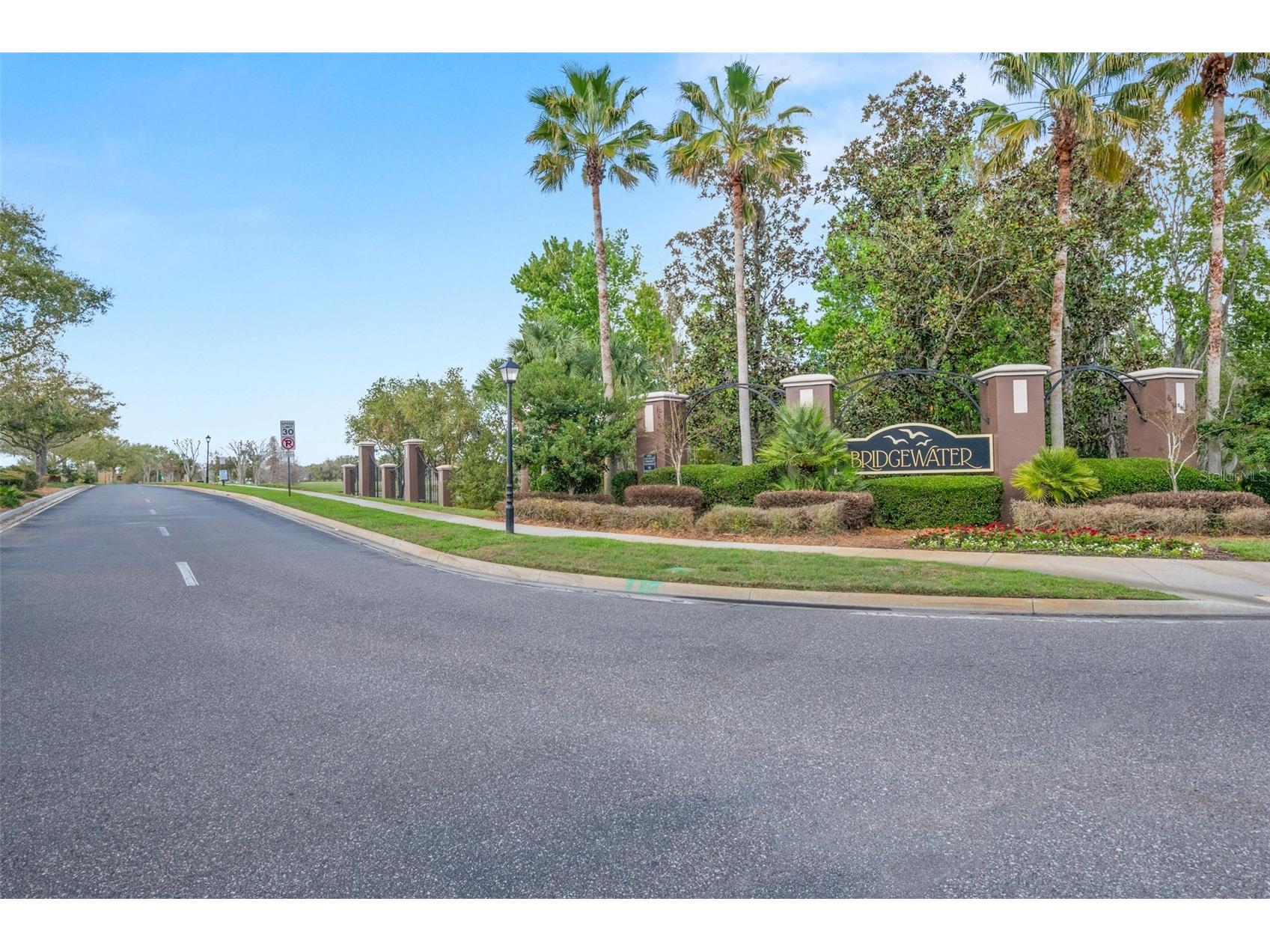 31103 Bridgegate Drive Wesley Chapel FL 33545 TB8484922 image45