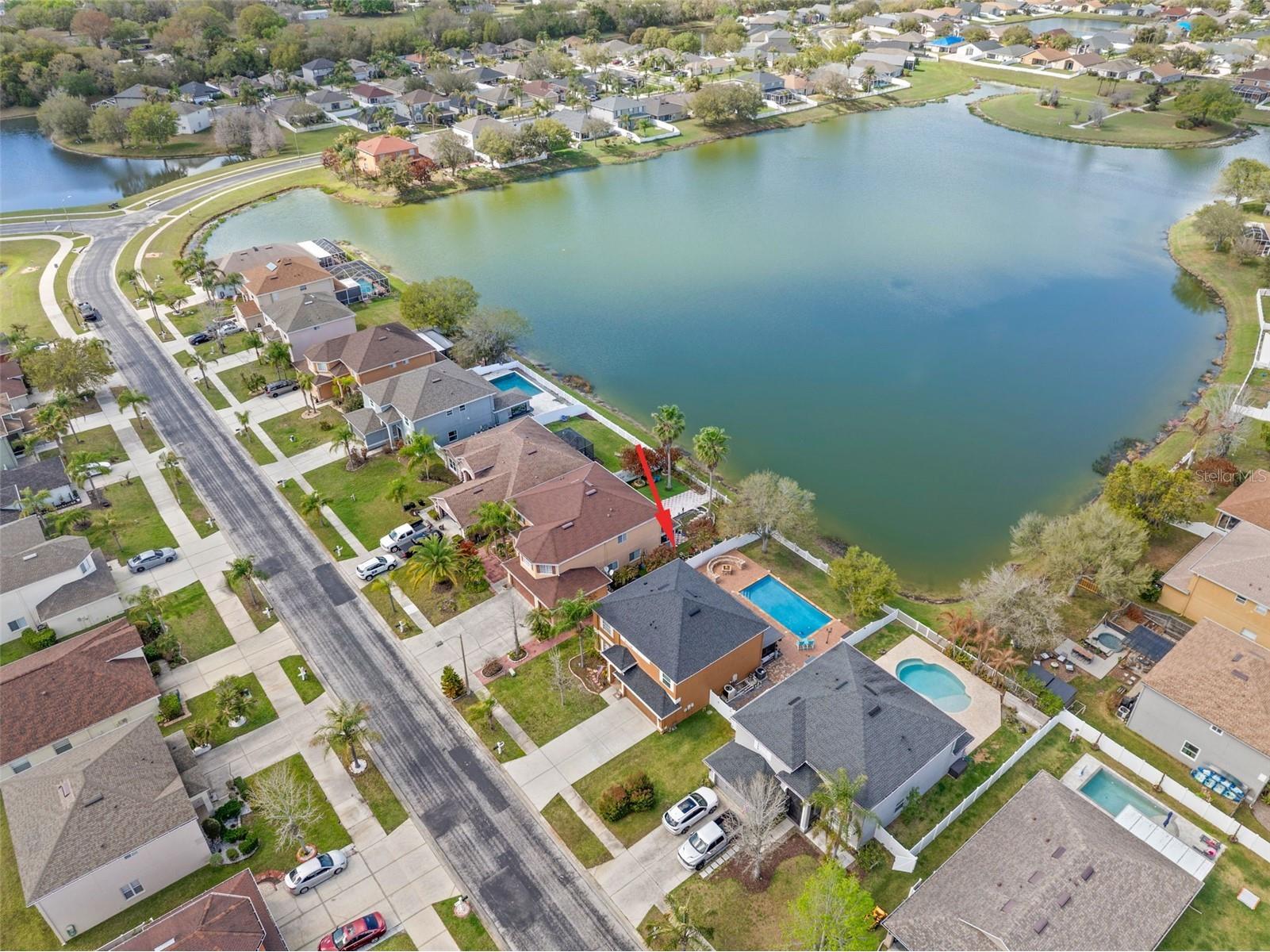 31103 Bridgegate Drive Wesley Chapel FL 33545 TB8484922 image47