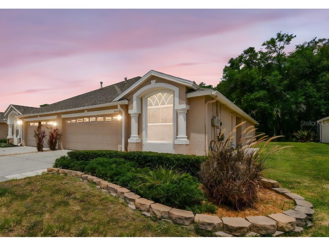 31105 Whitlock Drive Wesley Chapel FL 33543 TB8384284 image1