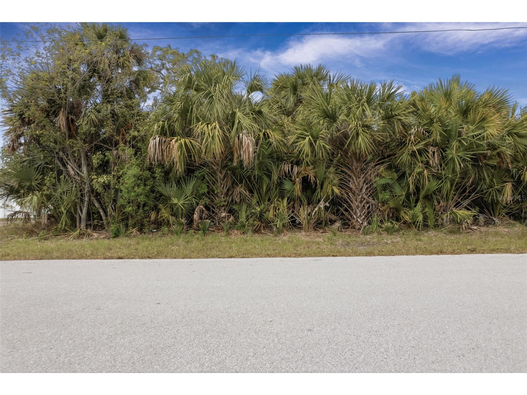 3111 Banyan Way Punta Gorda FL 33950 - NASSAU CANAL A4686647 image11