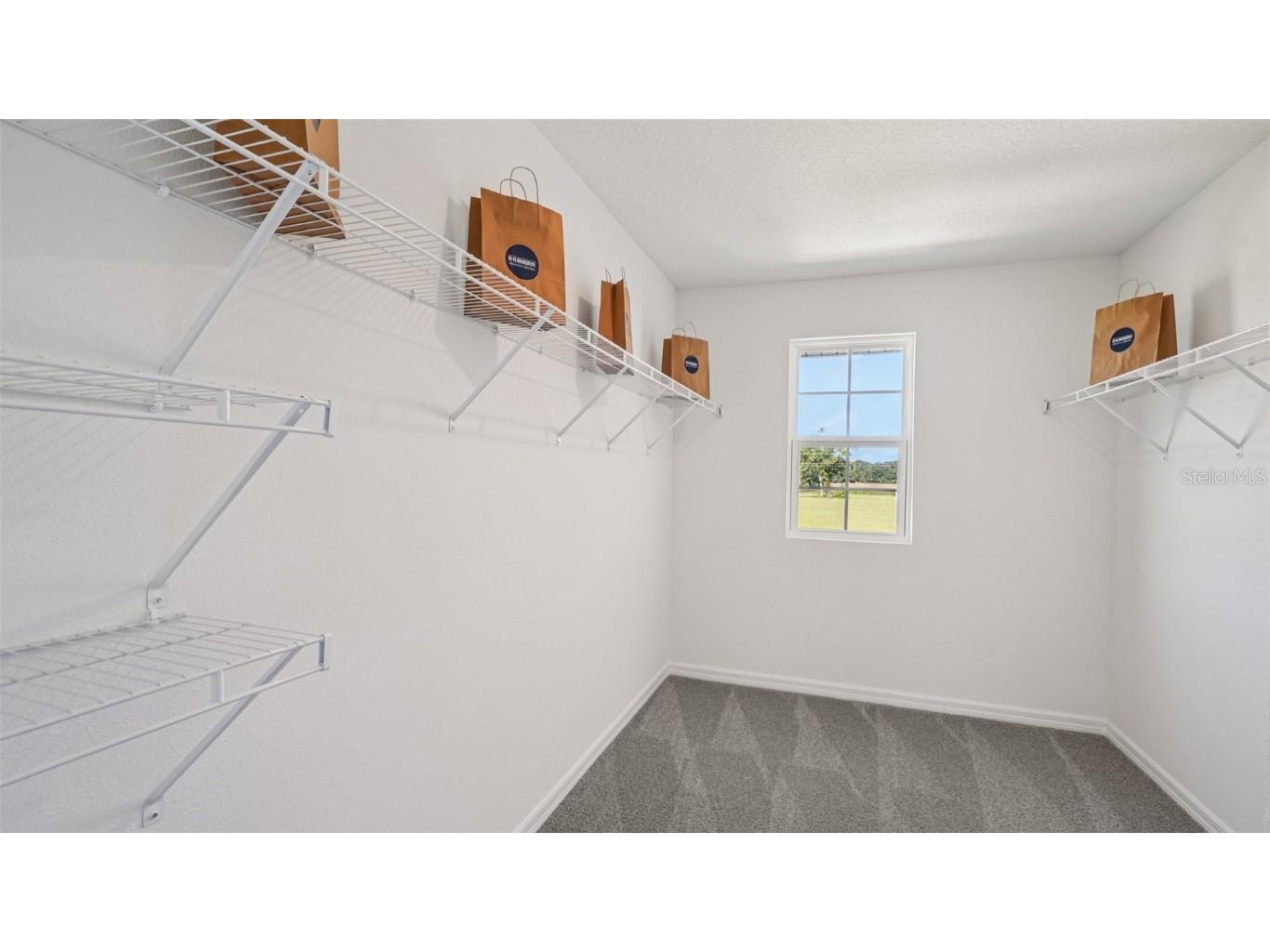 3111 Evenmore Way Wildwood FL 34785 OM707538 image20