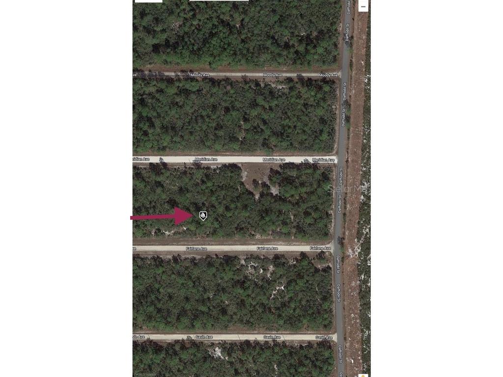 3111 Fairlane Avenue Lake Placid FL 33852 O6100263 image1