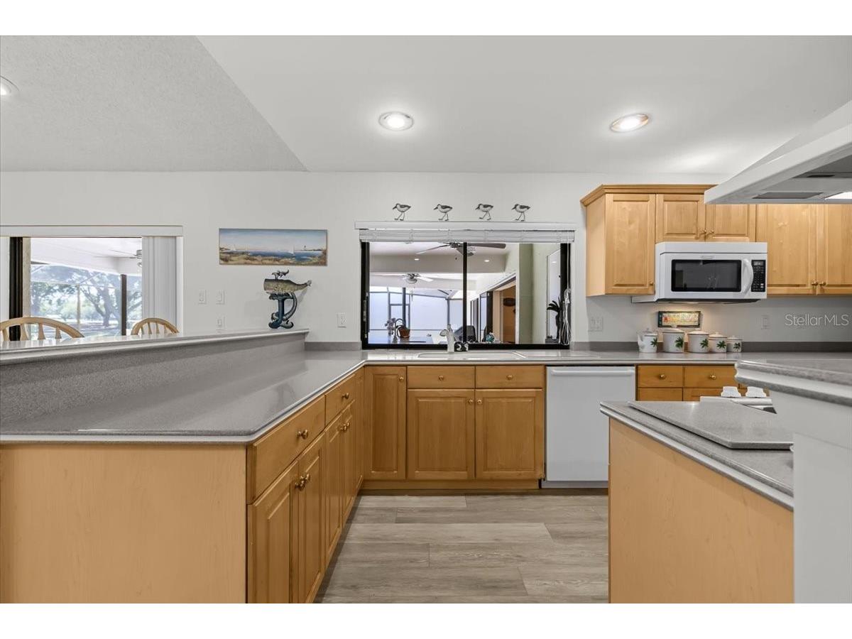 3111 Hyde Park Drive Clearwater FL 33761 TB8498107 image14