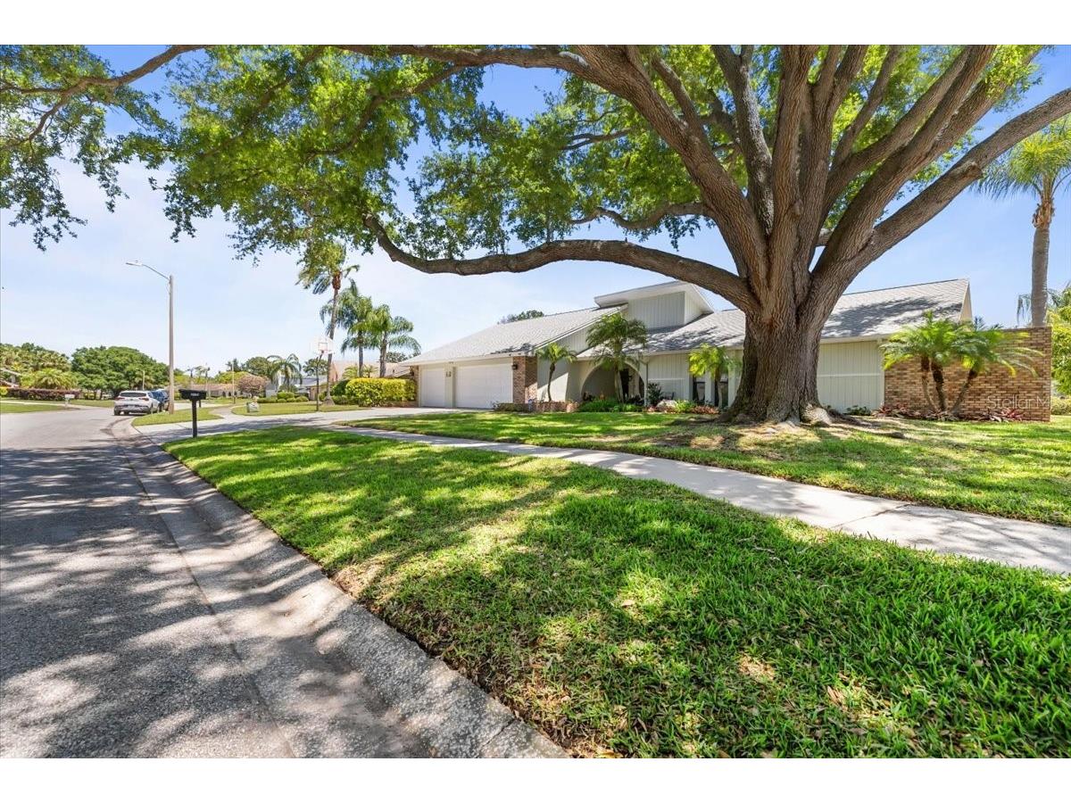 3111 Hyde Park Drive Clearwater FL 33761 TB8498107 image57