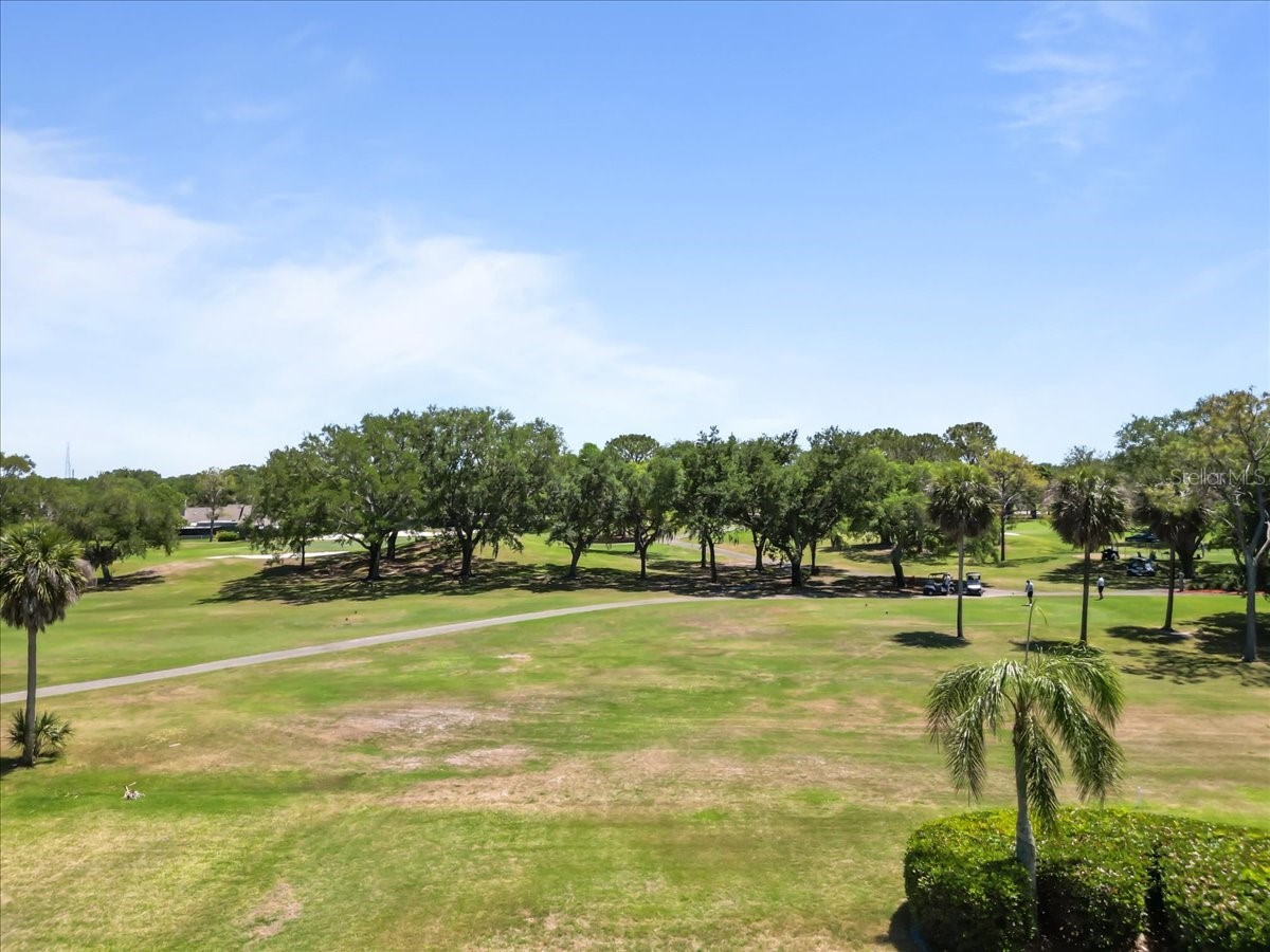 3111 Hyde Park Drive Clearwater FL 33761 TB8498107 image60