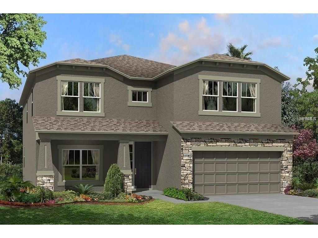 3111 King Fern Drive Wimauma FL 33598 T3427179 image1