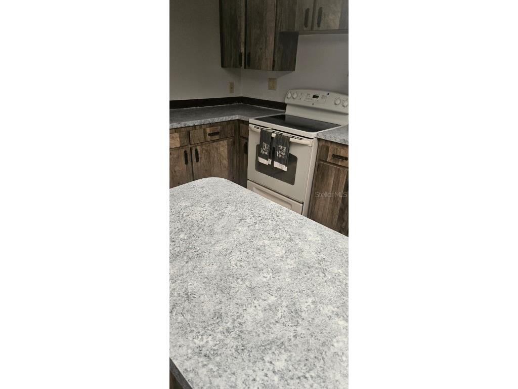 3111 NE 167th Place Citra FL 32113 OM709992 image10