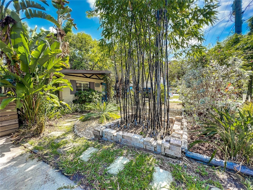 3111 W Ivy Street Tampa FL 33607 U8207044 image1