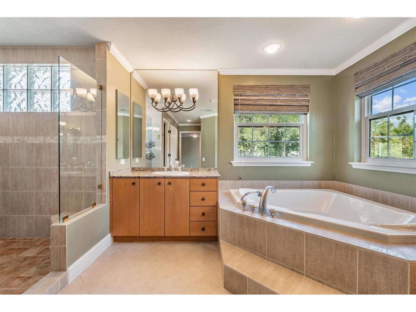 3111 W Lawn Avenue Tampa FL 33611 TB8491792 image22
