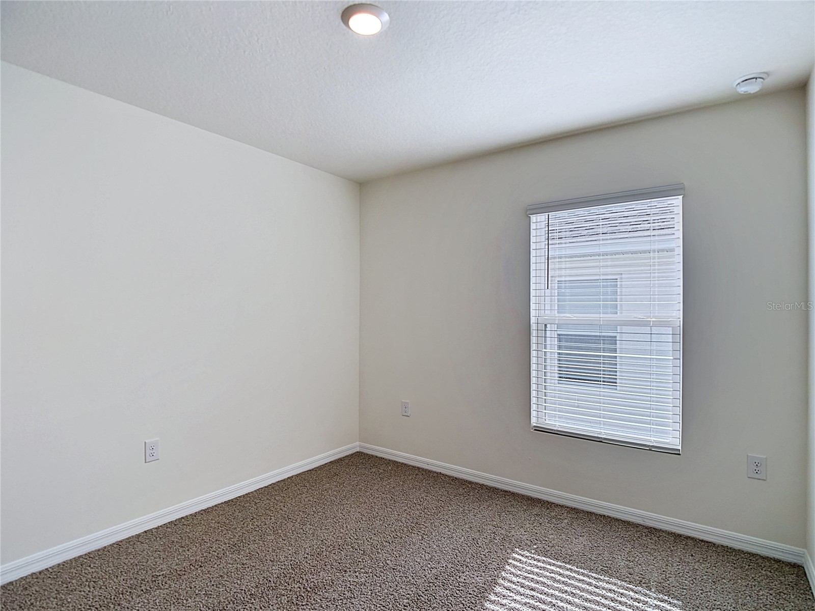 31115 Silver Stage Drive Brooksville FL 34602 OM726430 image26