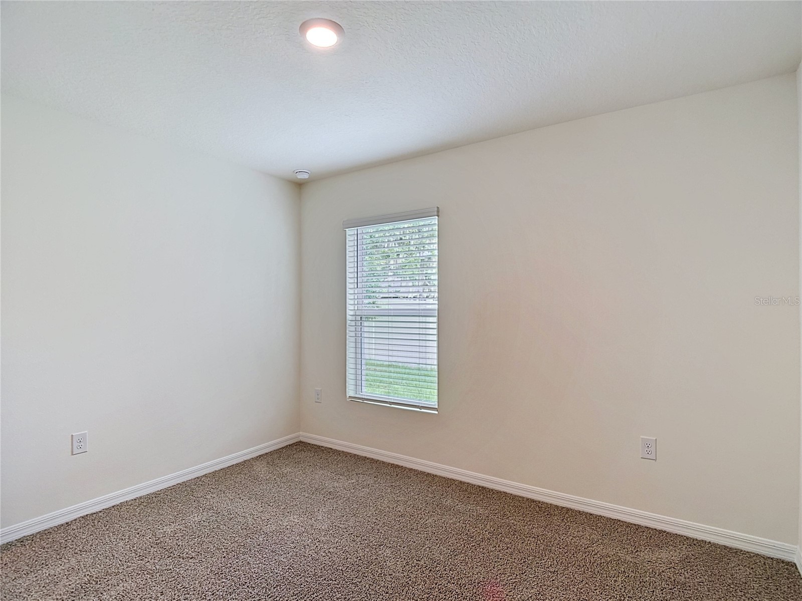 31115 Silver Stage Drive Brooksville FL 34602 OM726430 image33