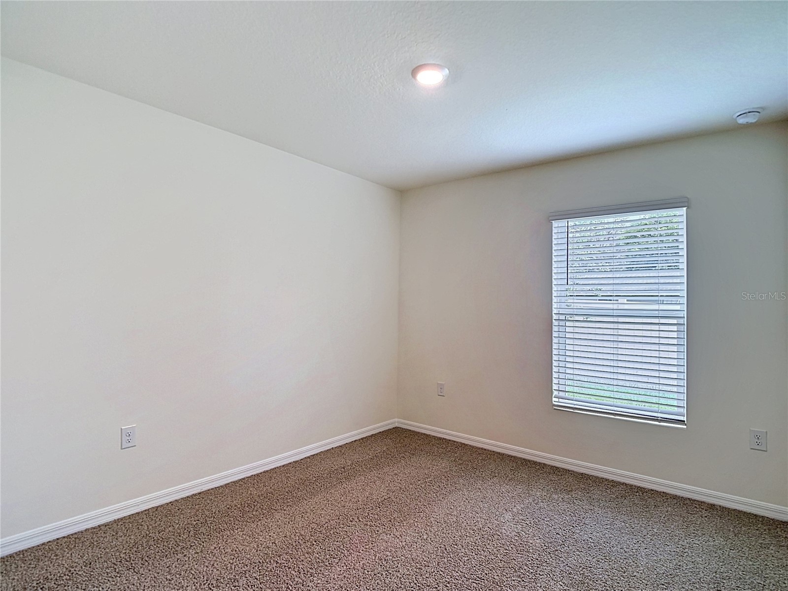 31115 Silver Stage Drive Brooksville FL 34602 OM726430 image35