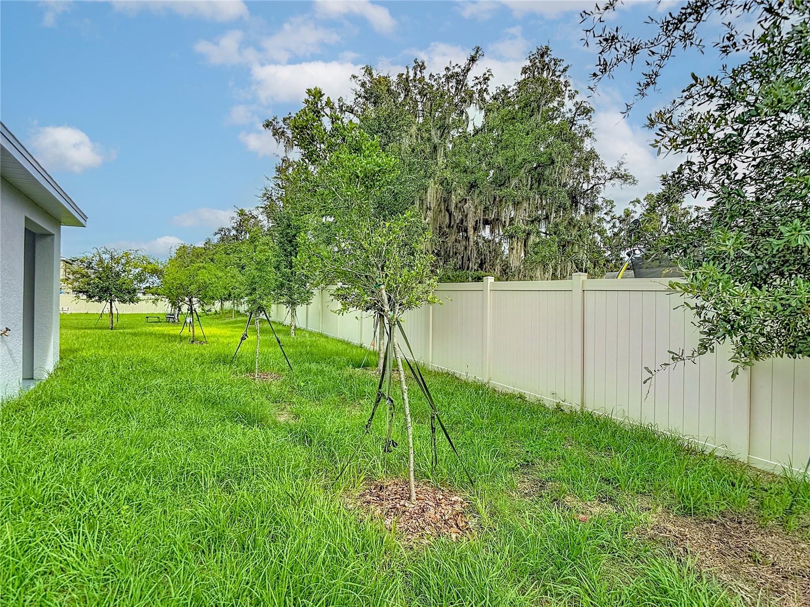 31115 Silver Stage Drive Brooksville FL 34602 OM726430 image46
