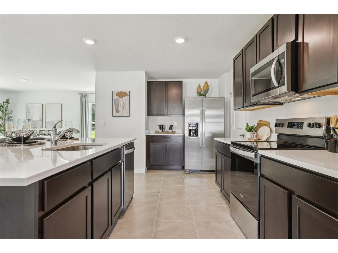 31118 Silver Stage Drive Brooksville FL 34602 OM710307 image14