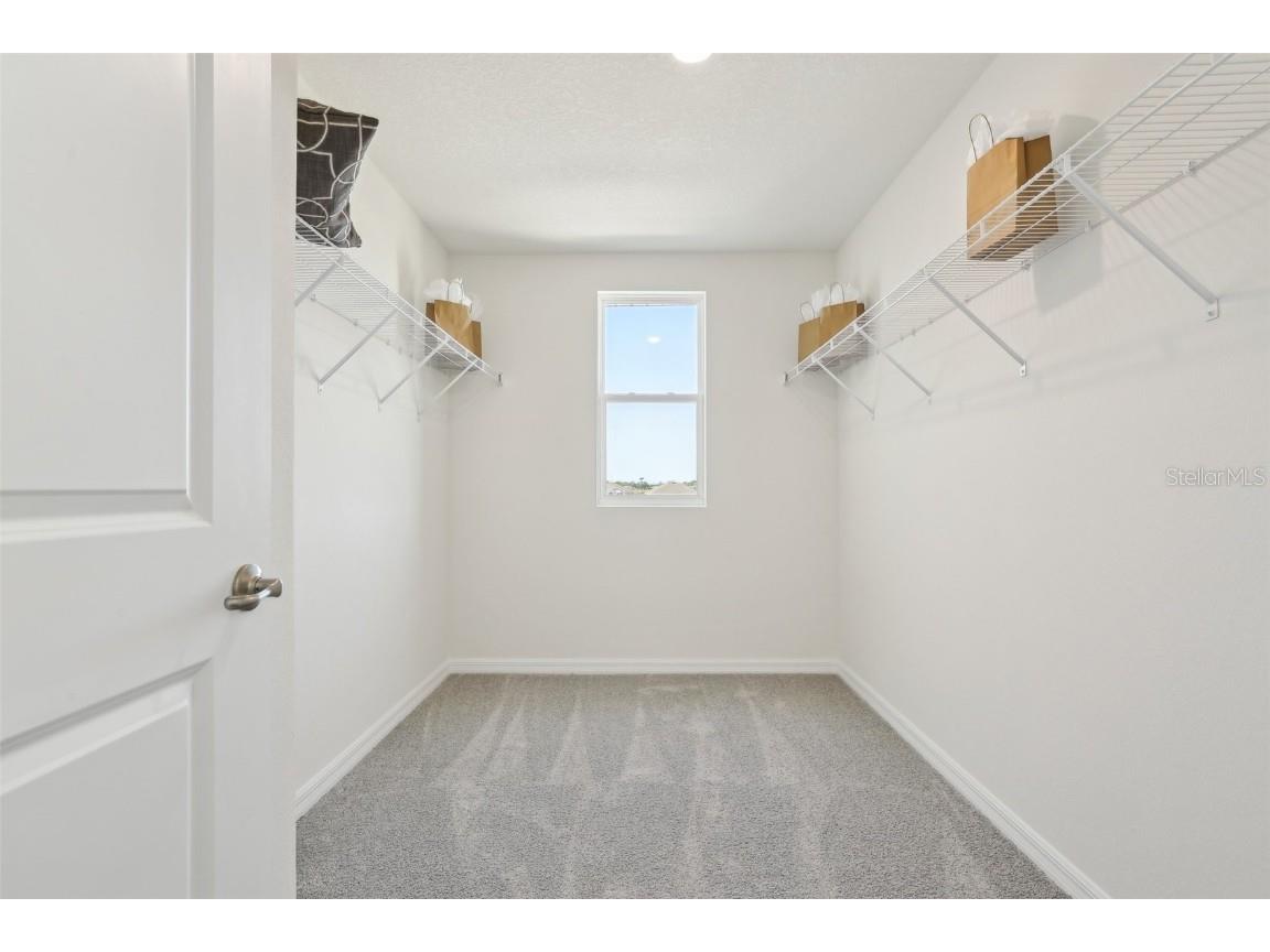 31118 Silver Stage Drive Brooksville FL 34602 OM710307 image30