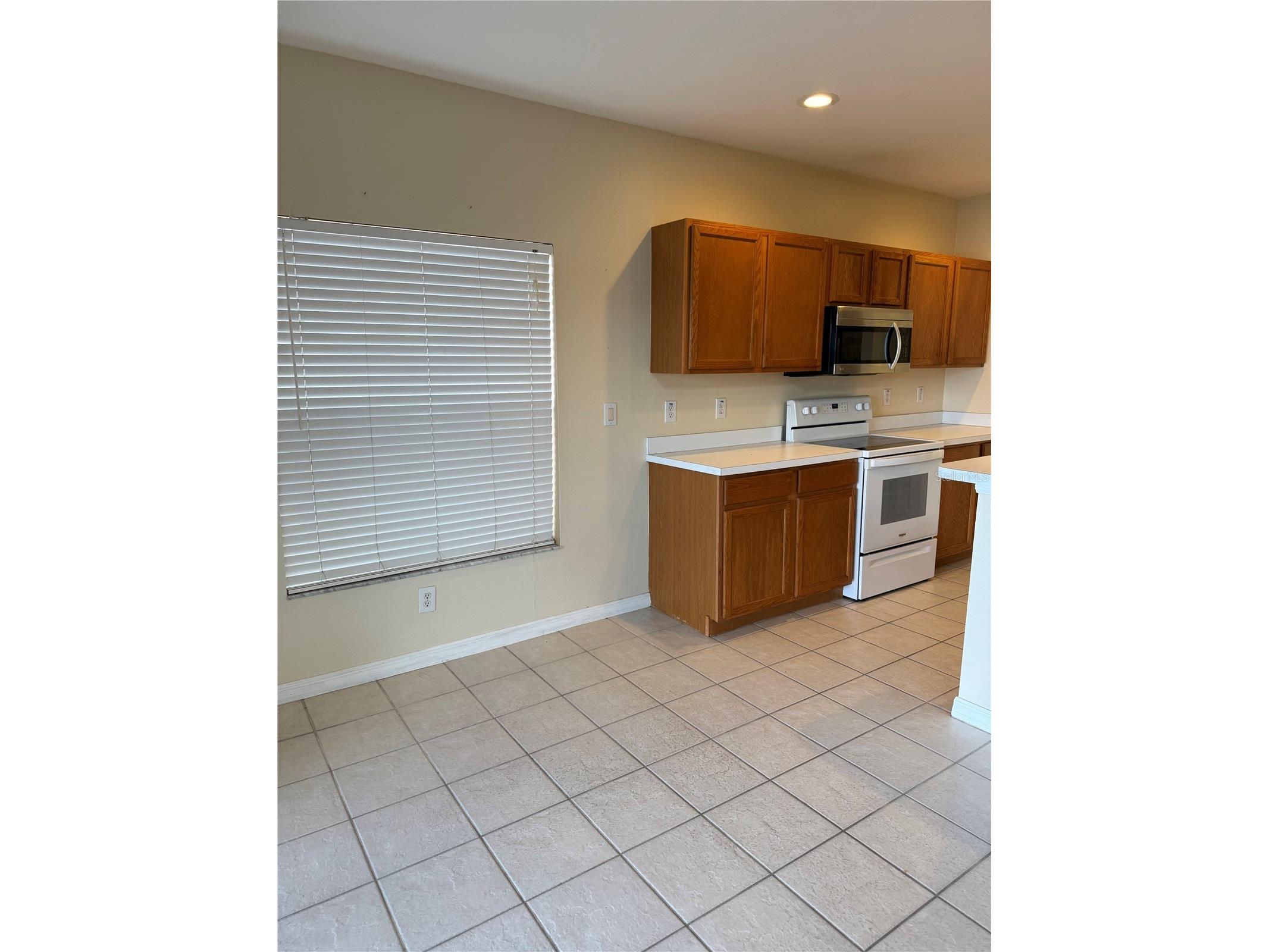 31119 Masena Drive Wesley Chapel FL 33545 TB8443923 image10