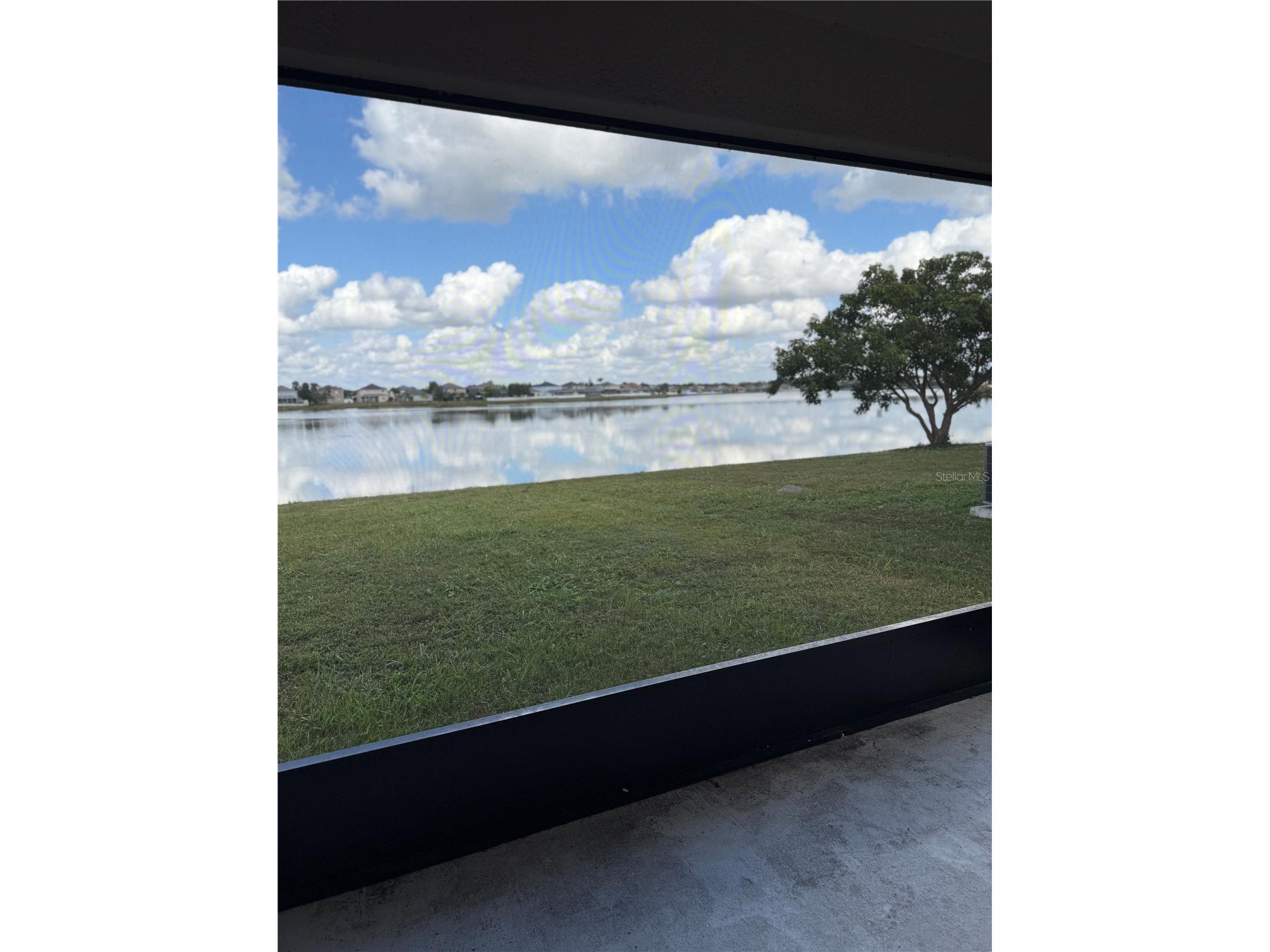 31119 Masena Drive Wesley Chapel FL 33545 TB8443923 image14