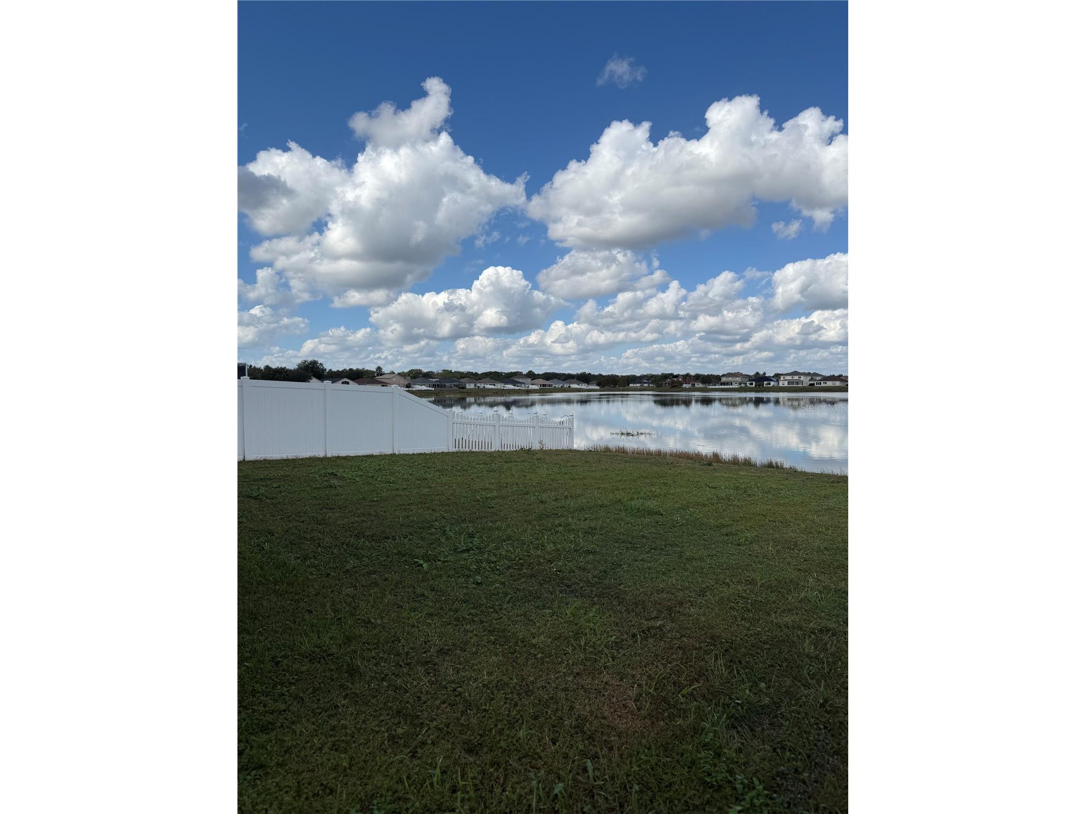 31119 Masena Drive Wesley Chapel FL 33545 TB8443923 image17