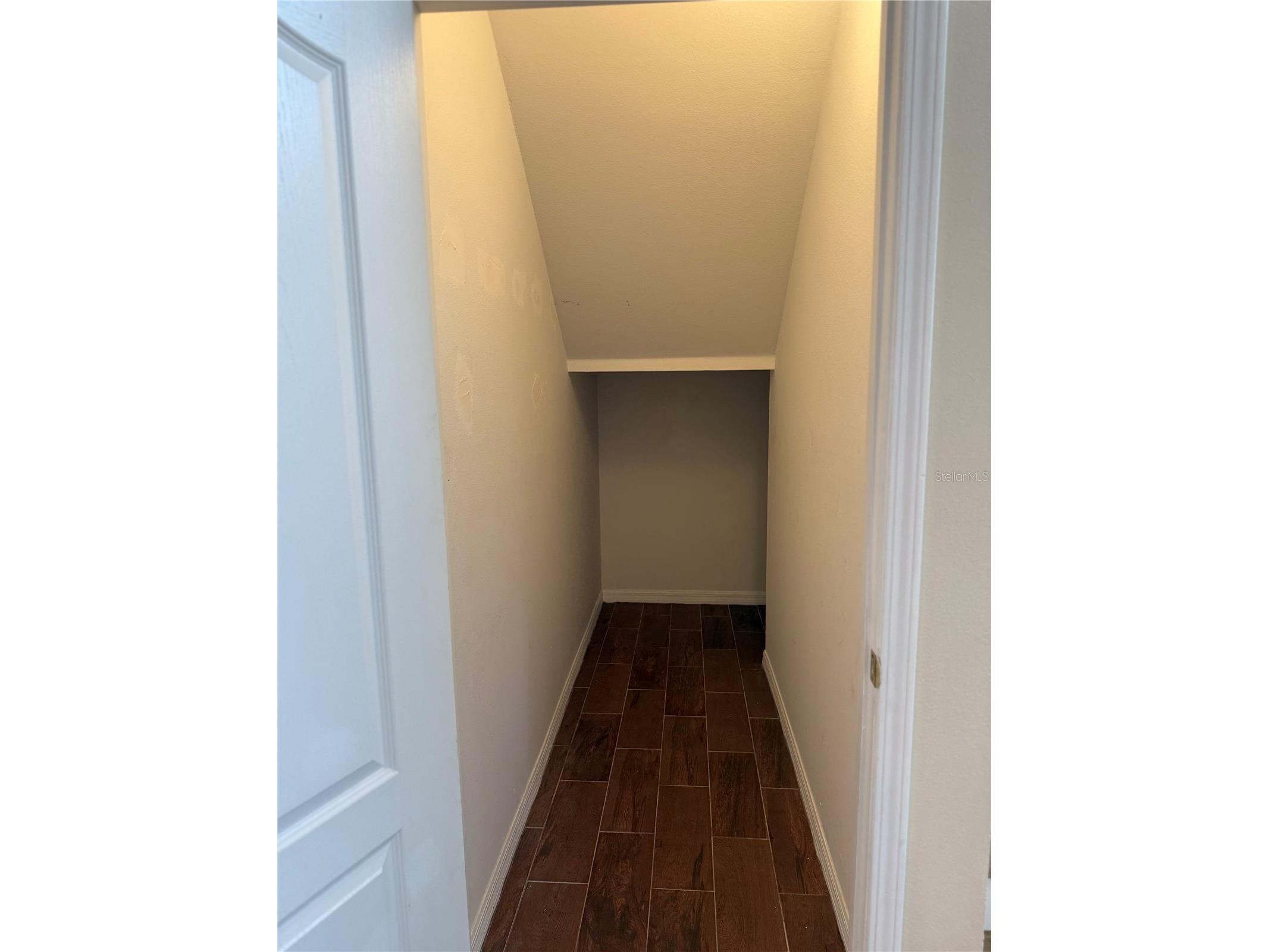 31119 Masena Drive Wesley Chapel FL 33545 TB8443923 image23