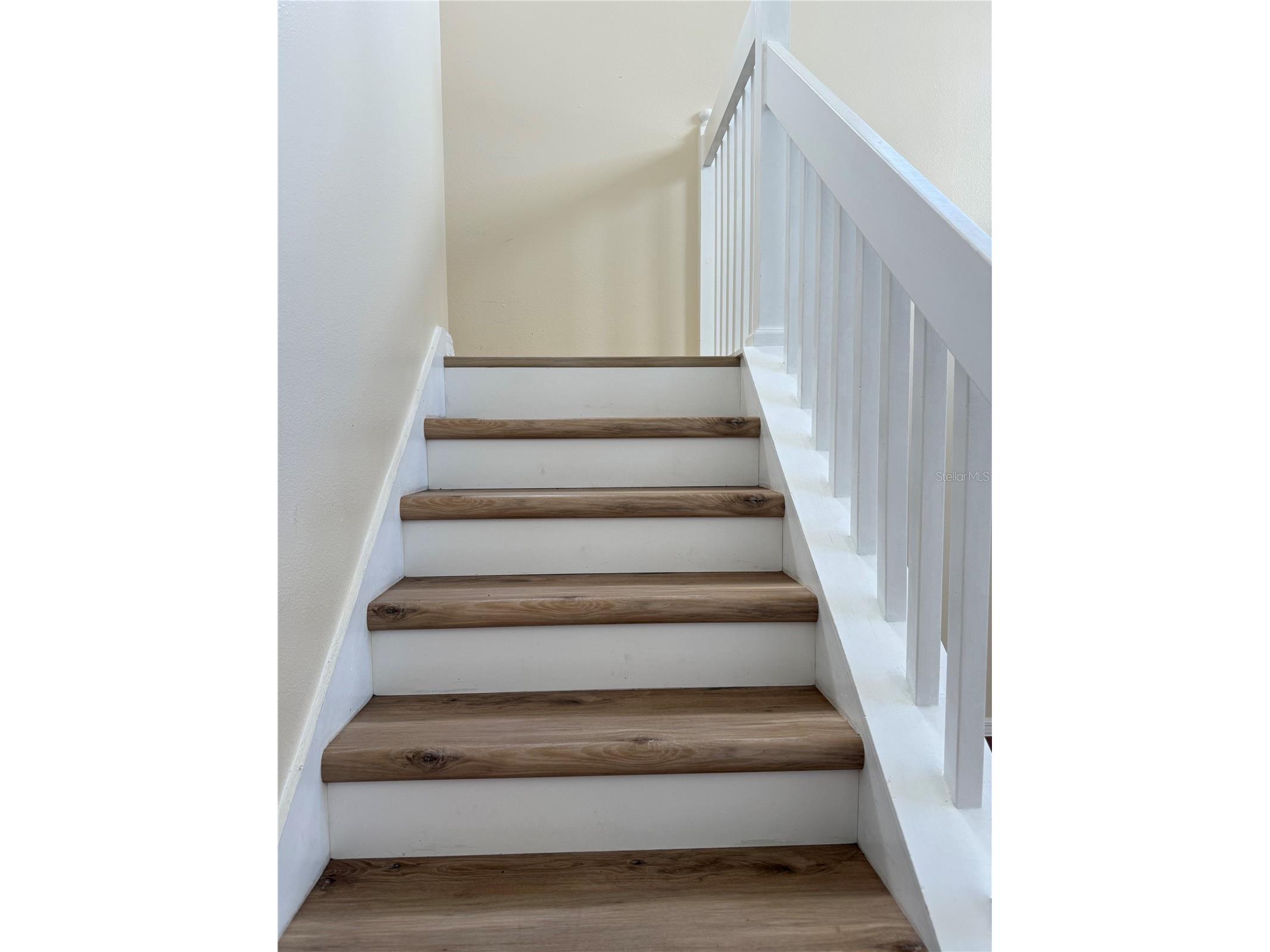 31119 Masena Drive Wesley Chapel FL 33545 TB8443923 image24