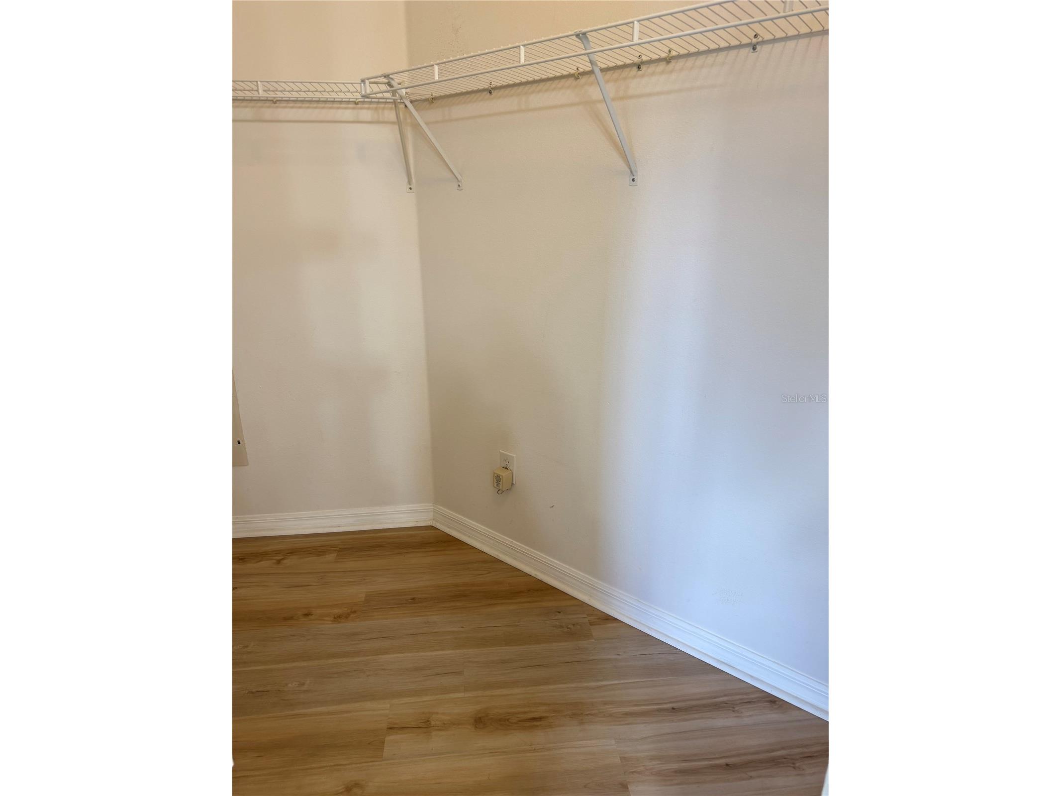 31119 Masena Drive Wesley Chapel FL 33545 TB8443923 image35