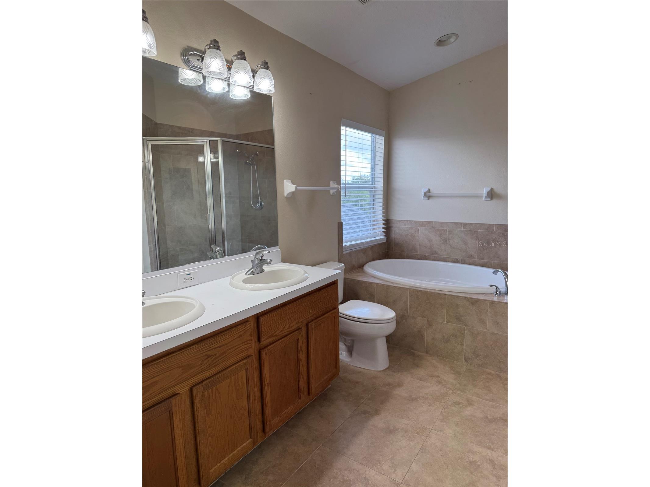 31119 Masena Drive Wesley Chapel FL 33545 TB8443923 image36