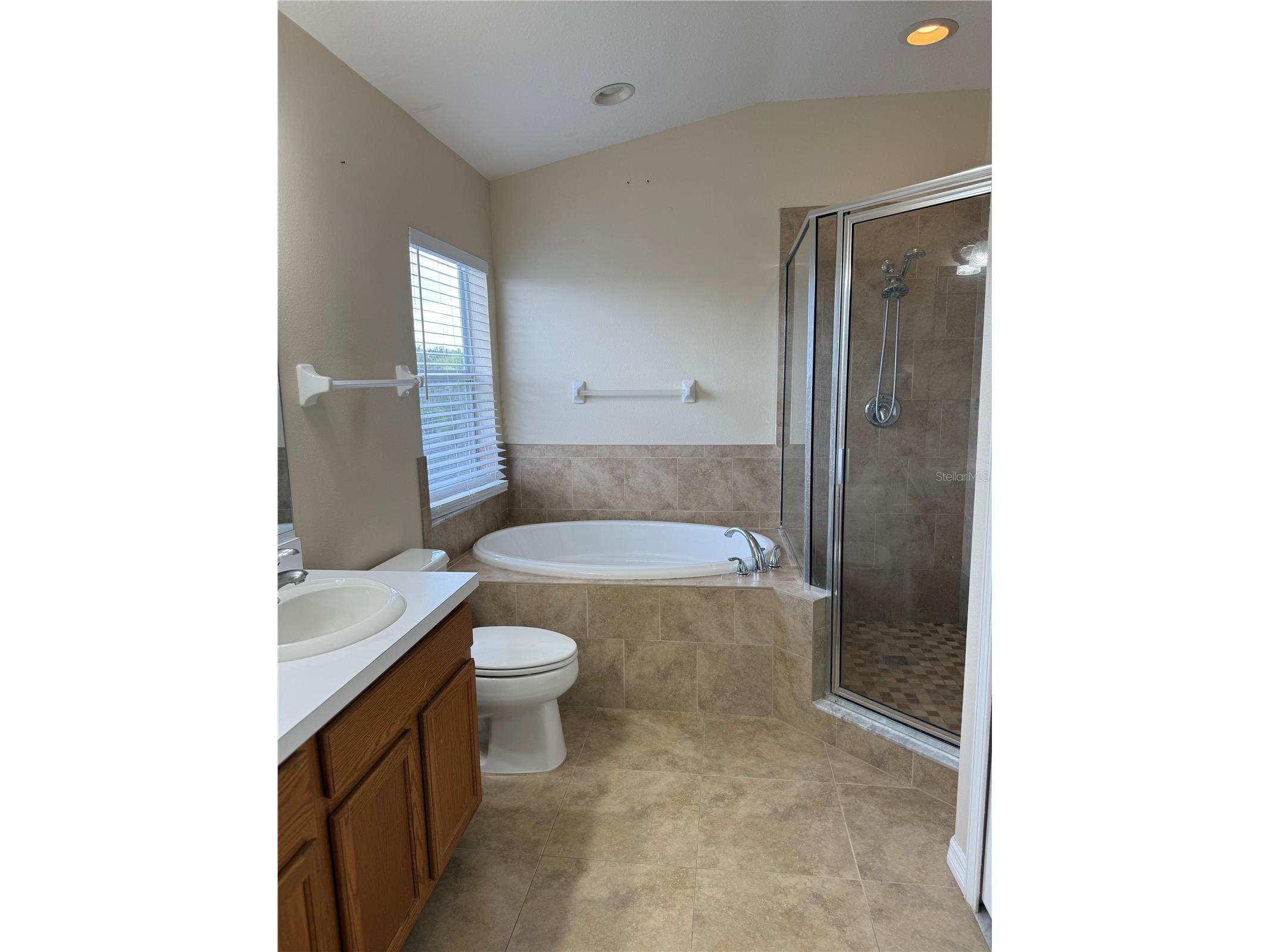 31119 Masena Drive Wesley Chapel FL 33545 TB8443923 image37