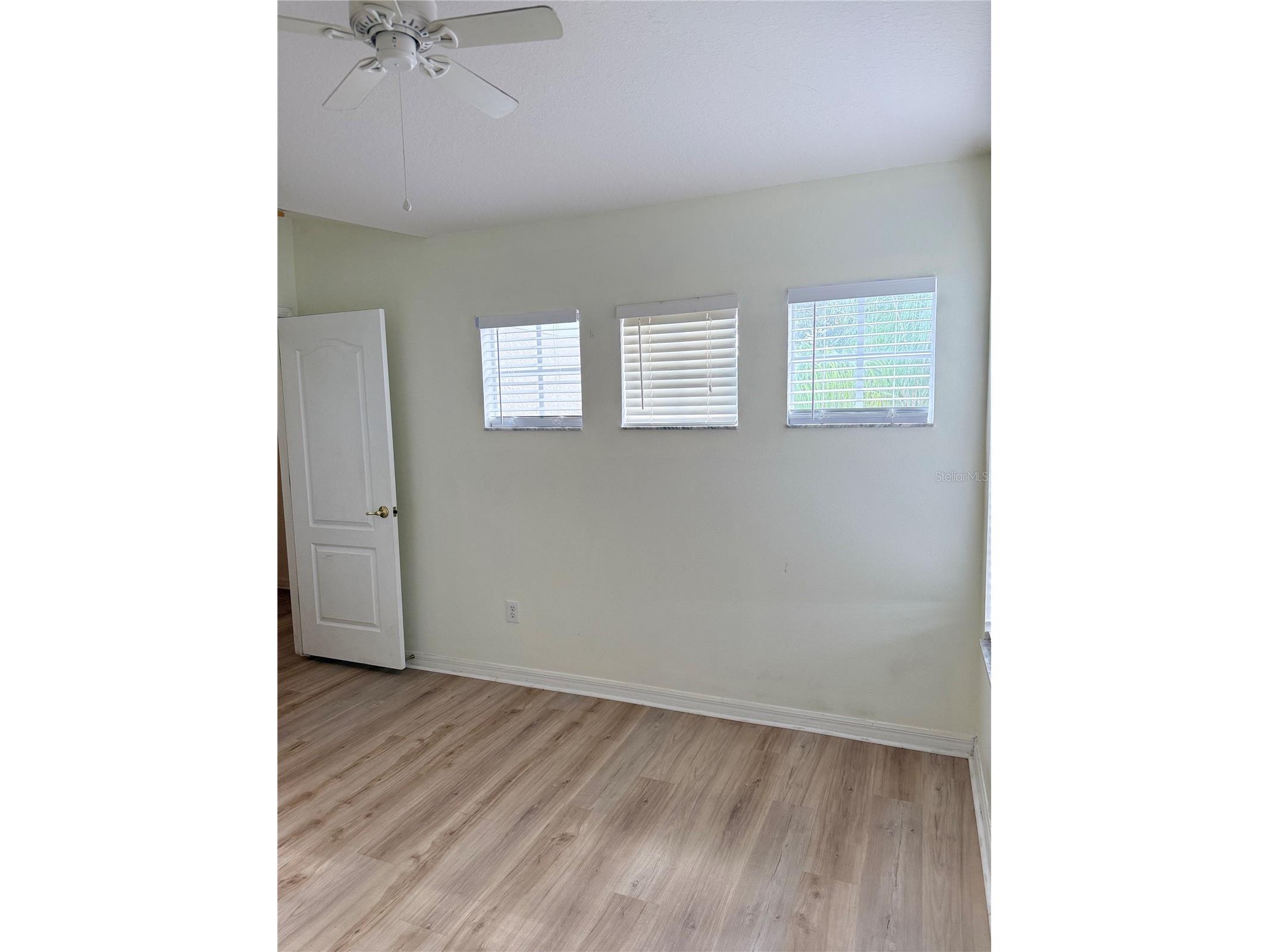 31119 Masena Drive Wesley Chapel FL 33545 TB8443923 image39