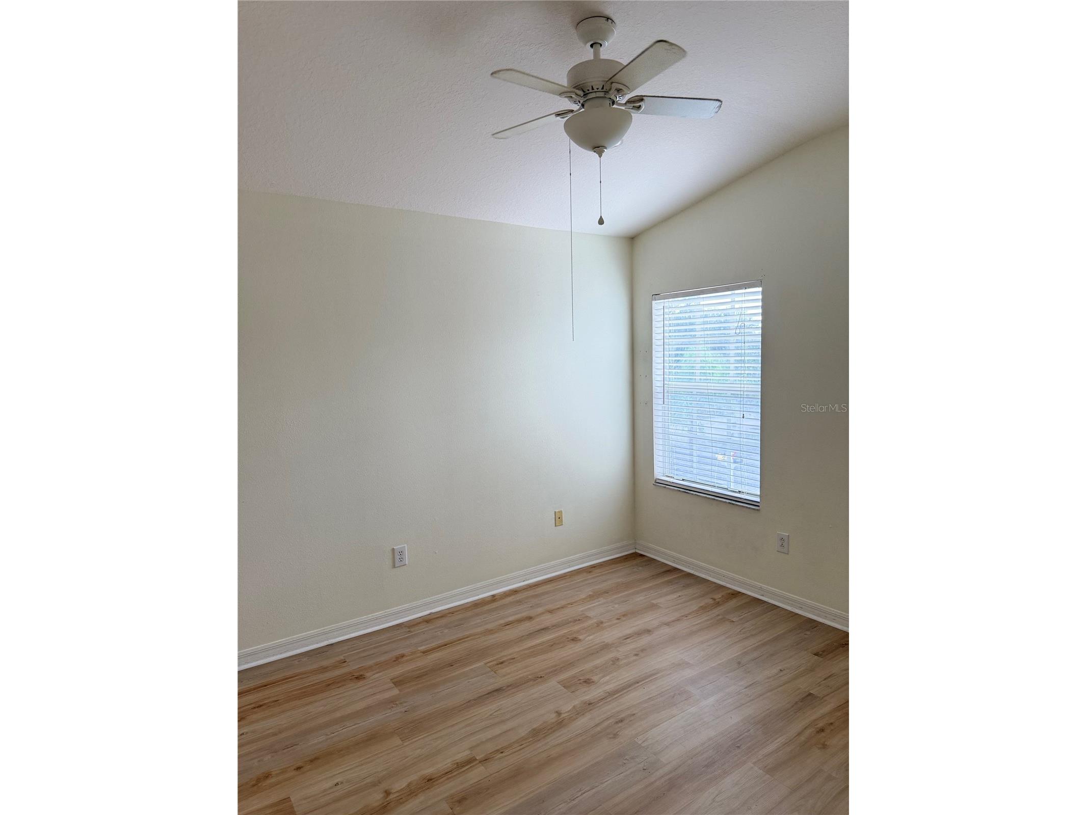 31119 Masena Drive Wesley Chapel FL 33545 TB8443923 image41