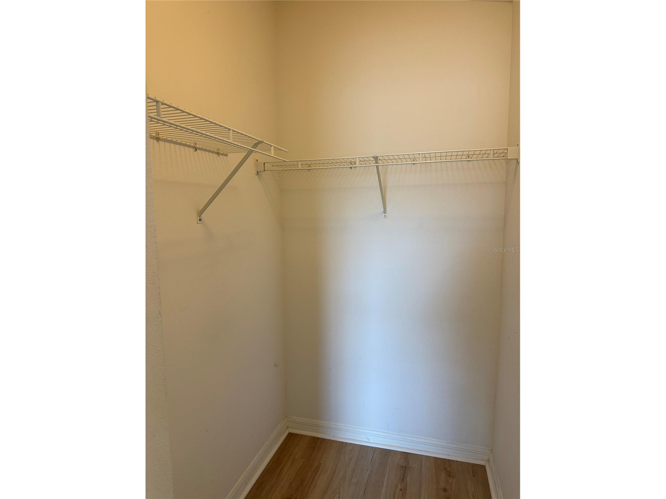 31119 Masena Drive Wesley Chapel FL 33545 TB8443923 image42