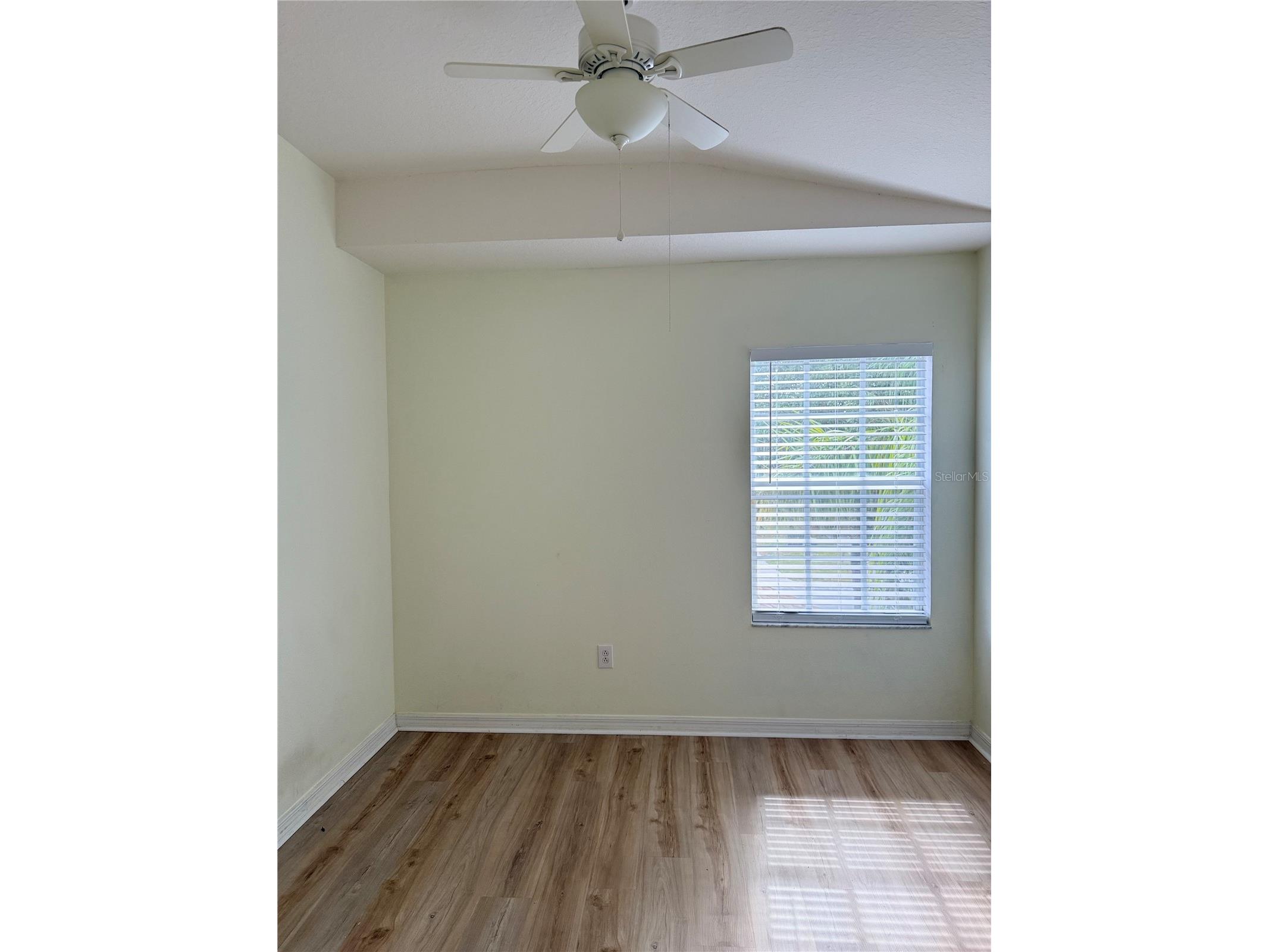 31119 Masena Drive Wesley Chapel FL 33545 TB8443923 image43