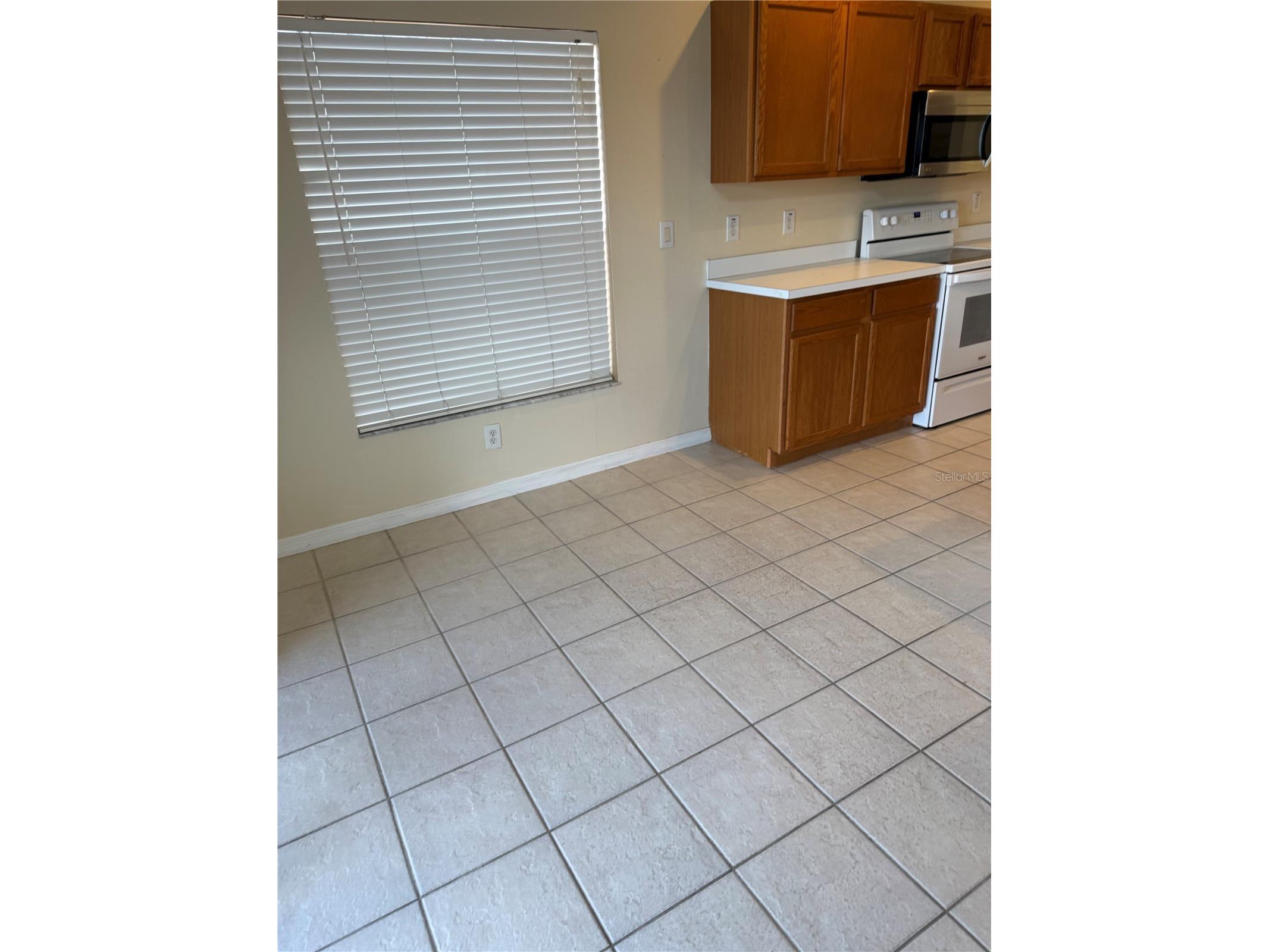 31119 Masena Drive Wesley Chapel FL 33545 TB8443923 image9