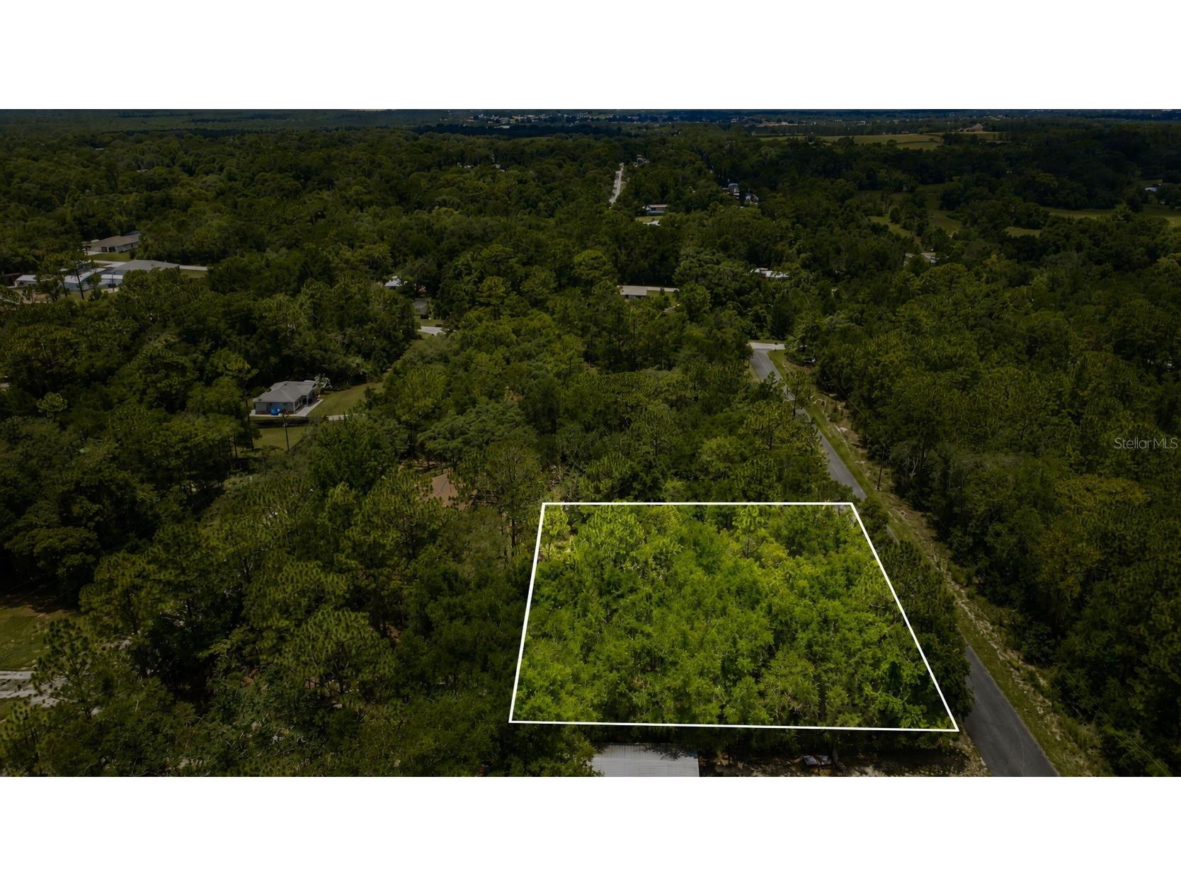 3112 E May Street Inverness FL 34453 O6417816 image1