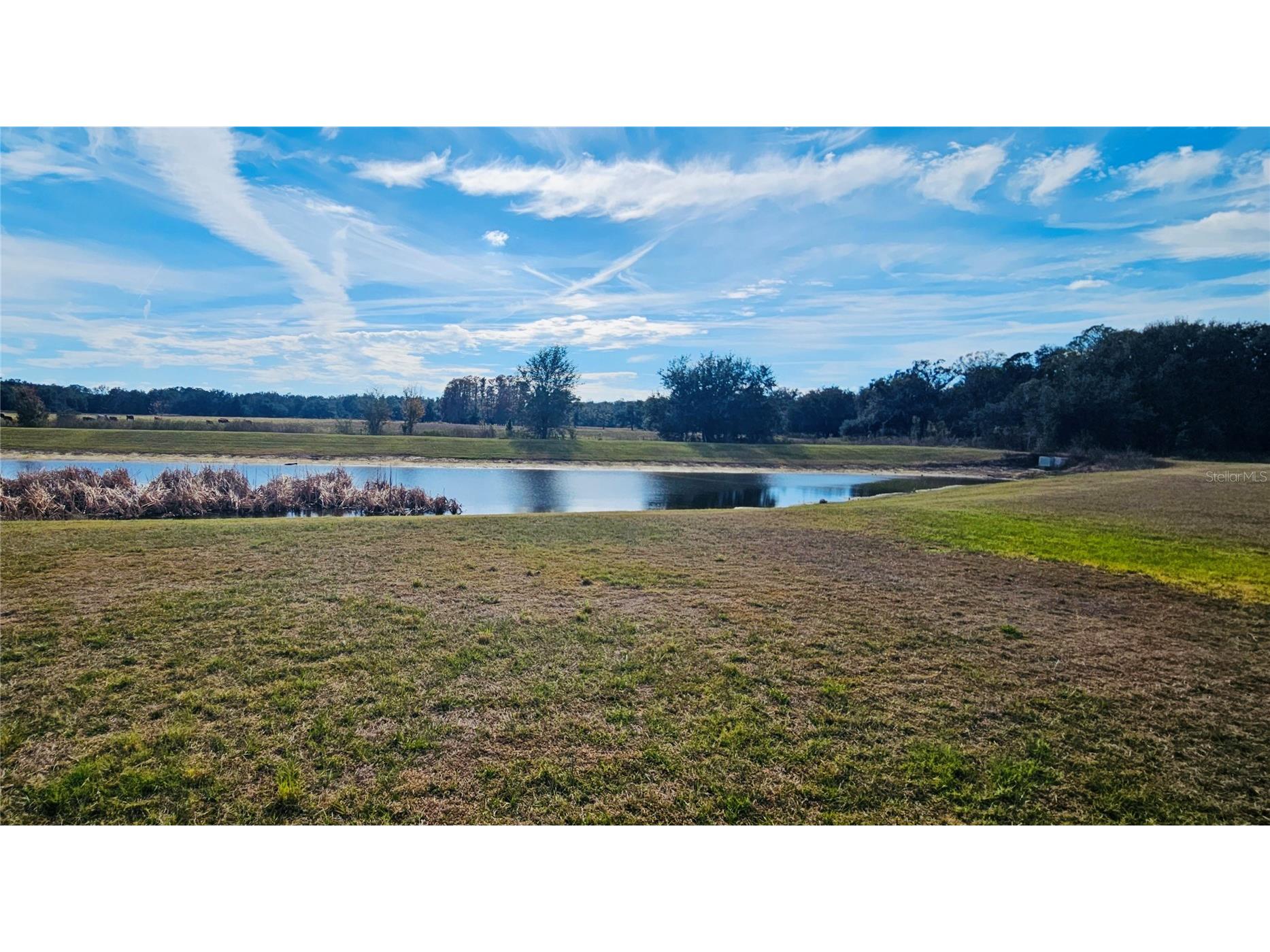 3112 Forrest Plum Court Zephyrhills FL 33540 TB8460445 image12